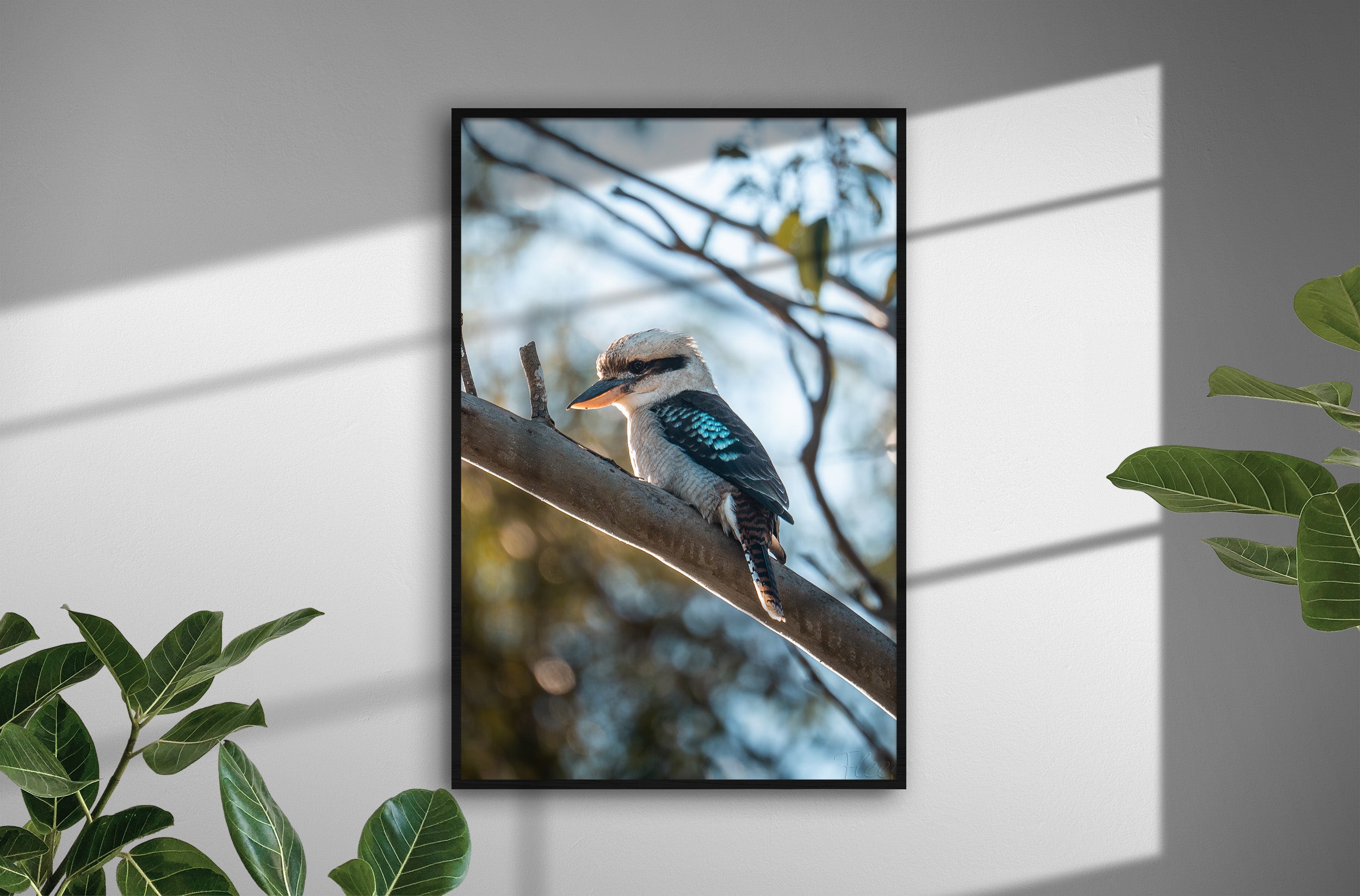 384c5aae-bd20-44ea-b8b7-423932722079