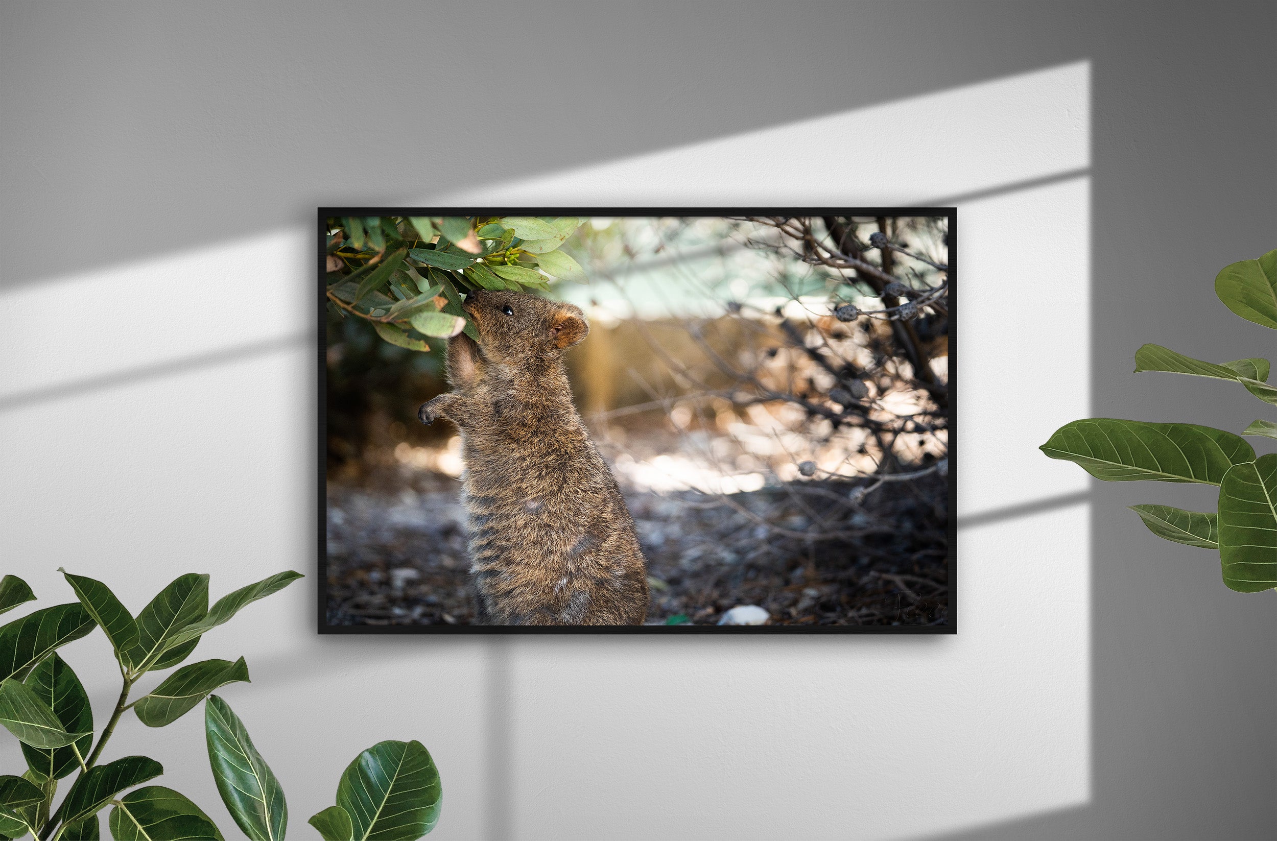 39038e03-1d39-4d1b-92f7-17e498e2491d