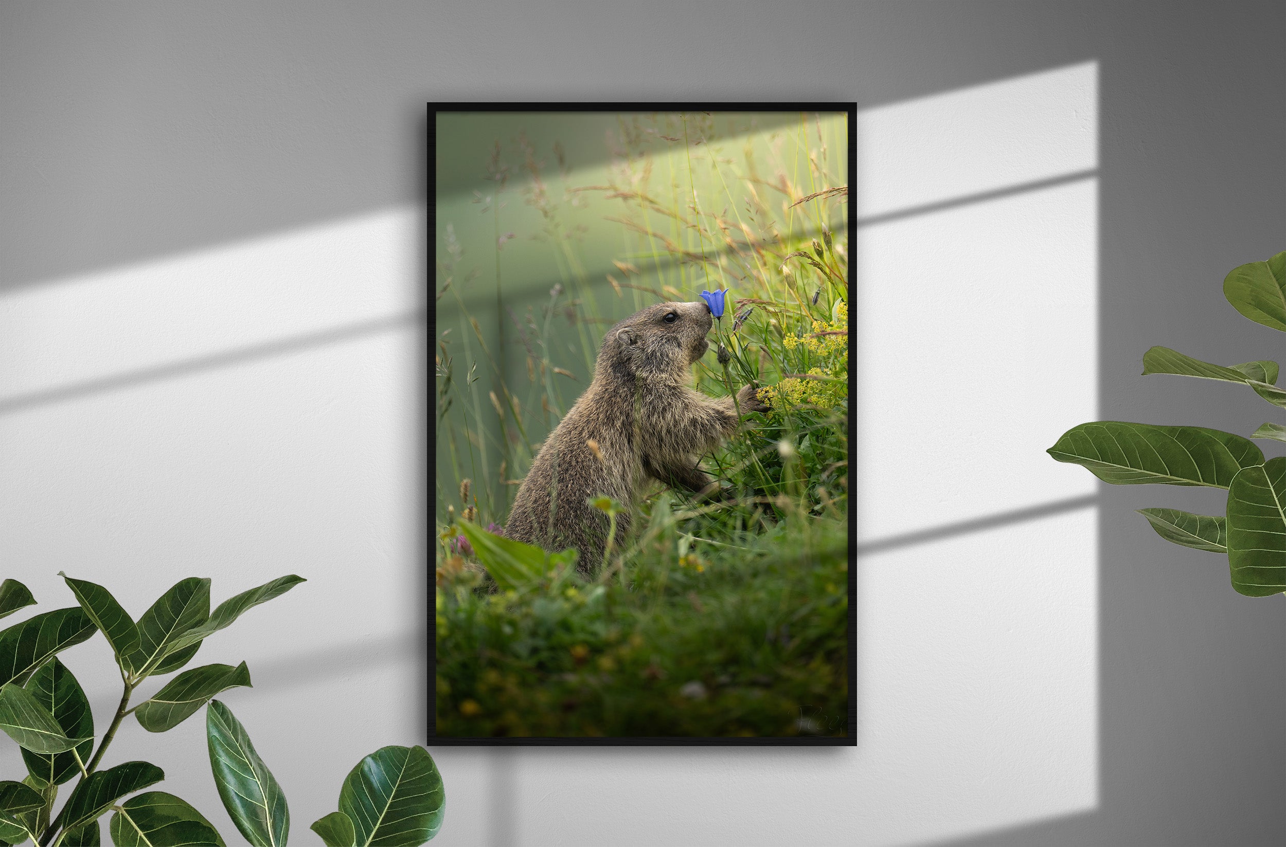 393d6984-f162-4fc8-9e0c-fa7927496d85