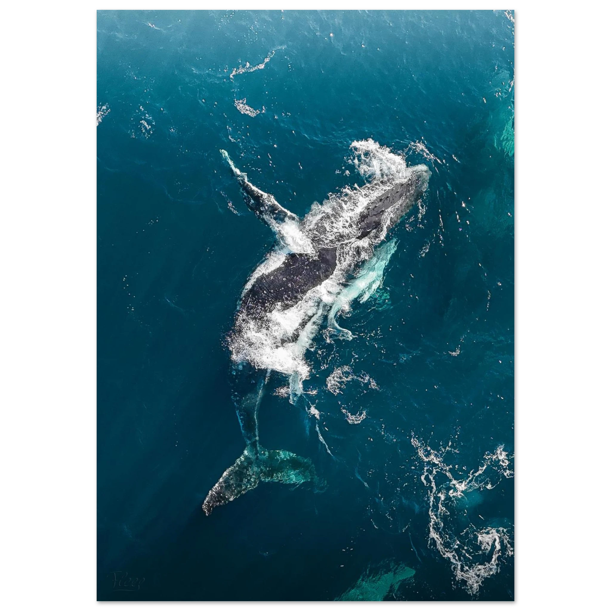 39c592ee-1fe4-405a-8c39-2d3bc8a9fd56