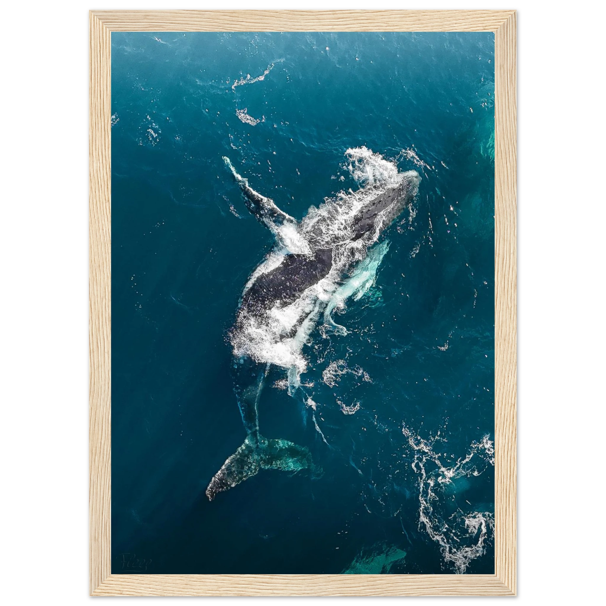 39d56c8e-2a66-49bf-a393-1606528dd1f4