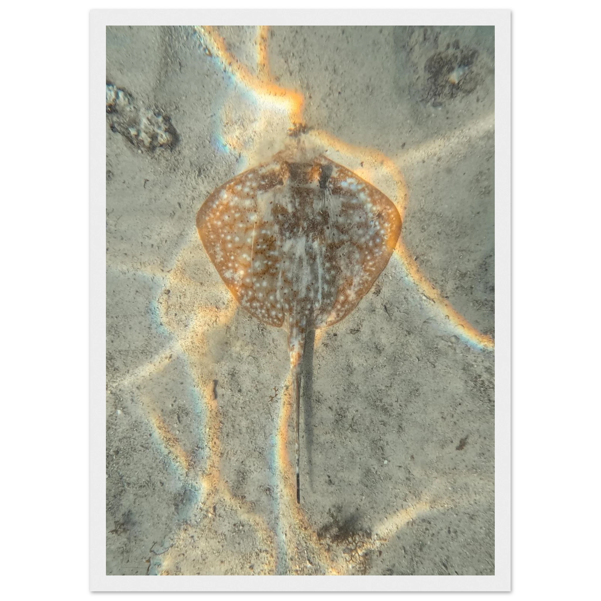 3ac2d007-fee8-4be2-b926-03365e8dac1b