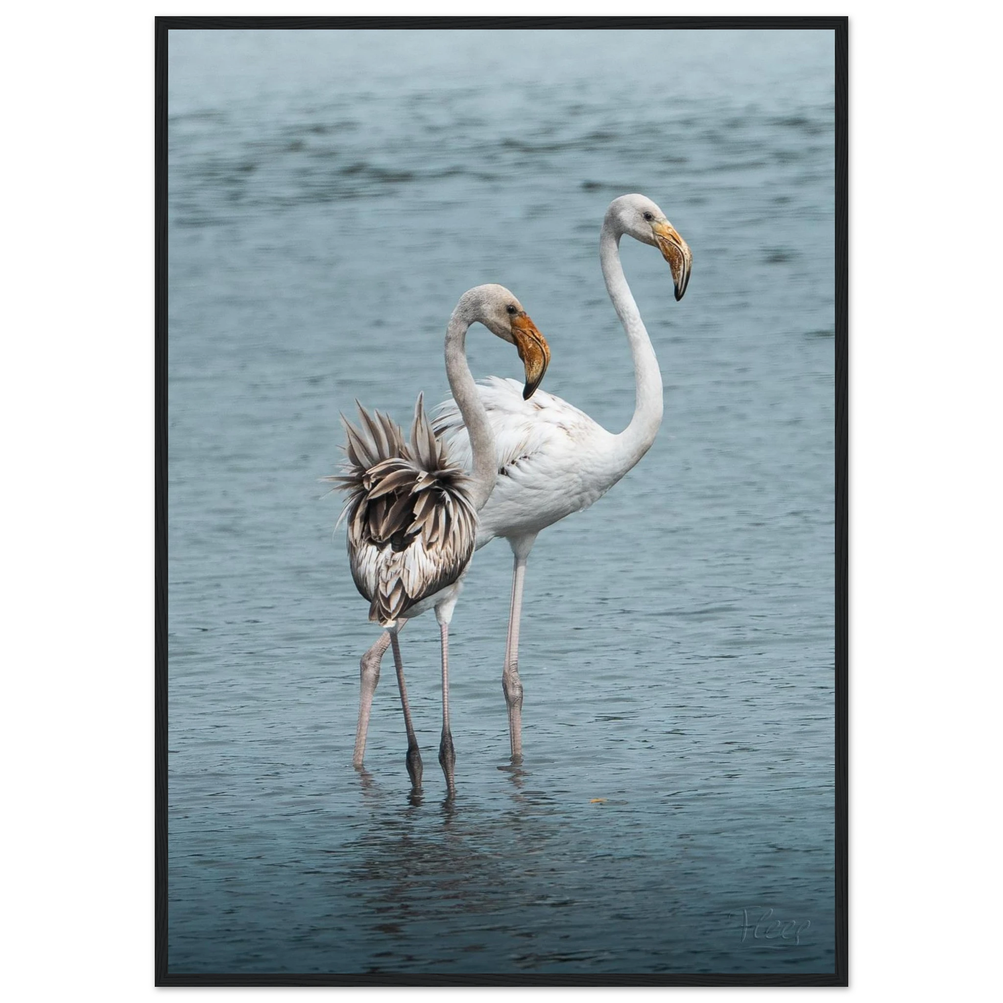 3aea4448-f736-4582-9d6c-50348a24d42d