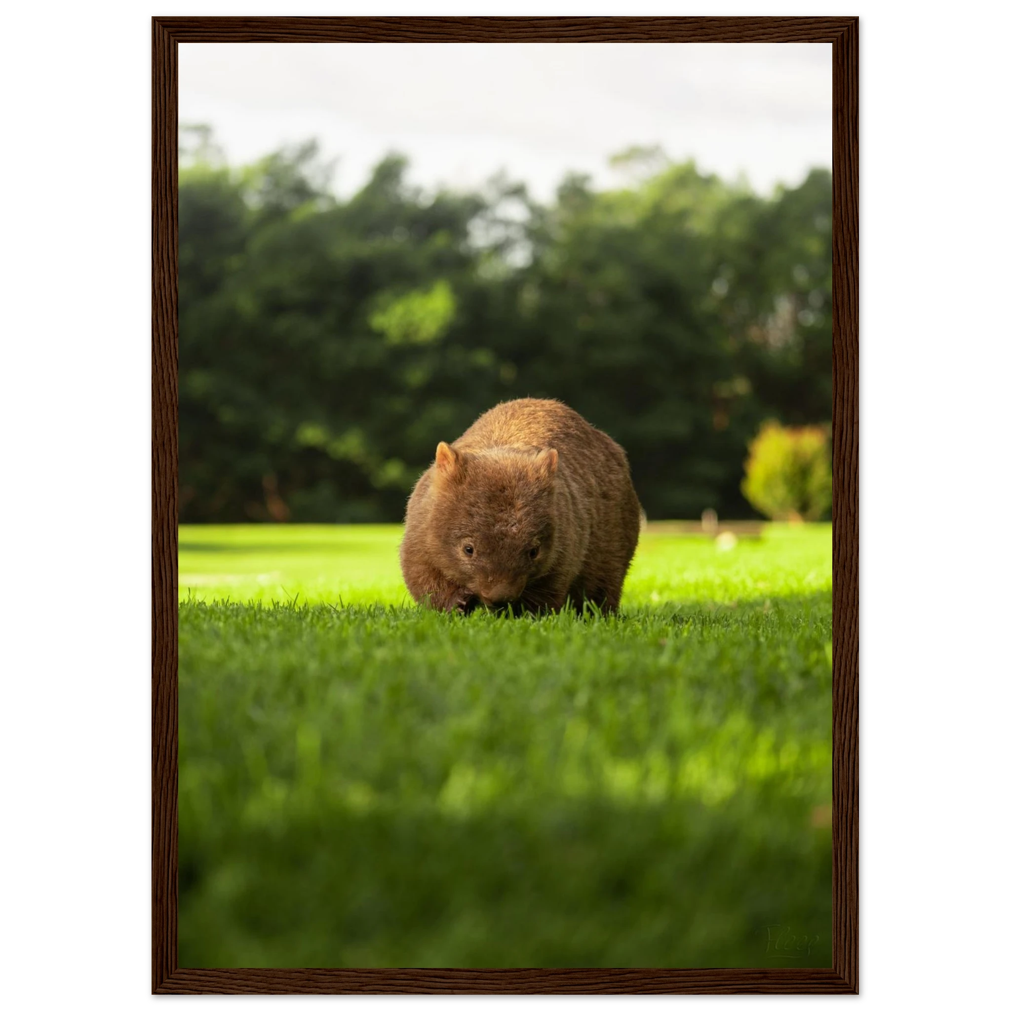 3b09d91b-5249-4c37-ab8a-7a839ad17523