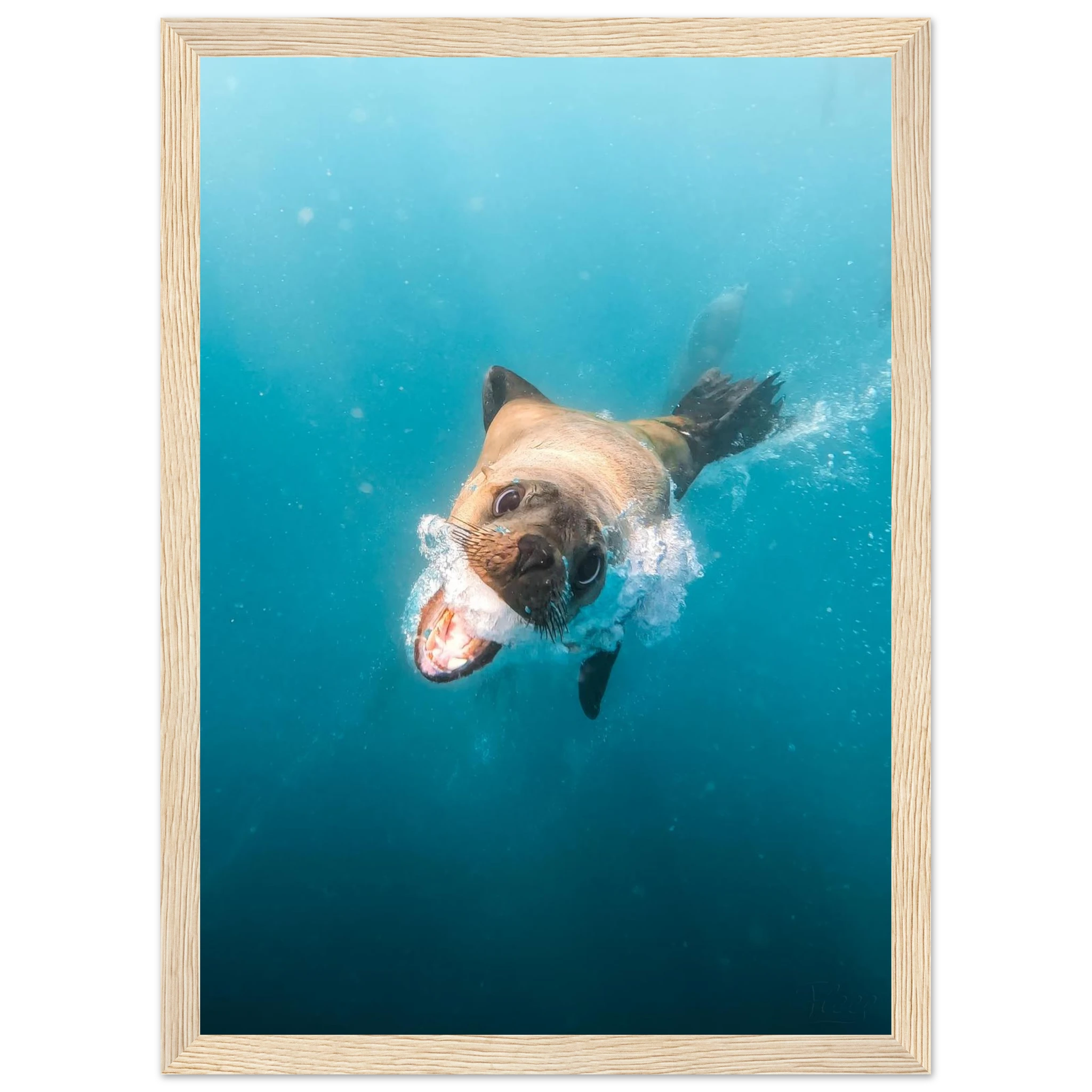 3b1fb414-c296-43ed-8dbc-c7d3e118a40a