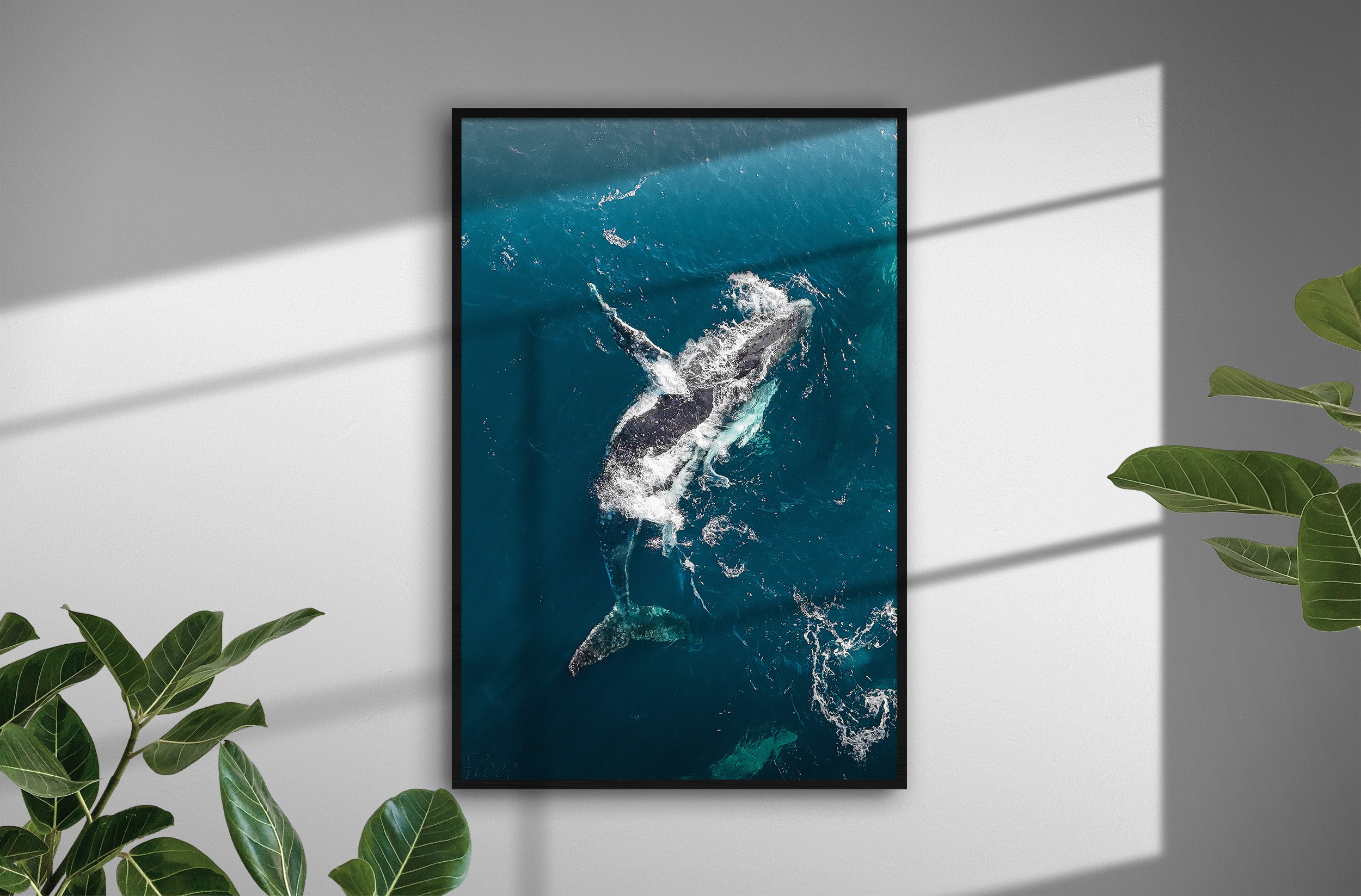 3b666c9f-301d-45e8-a136-764de9da8304