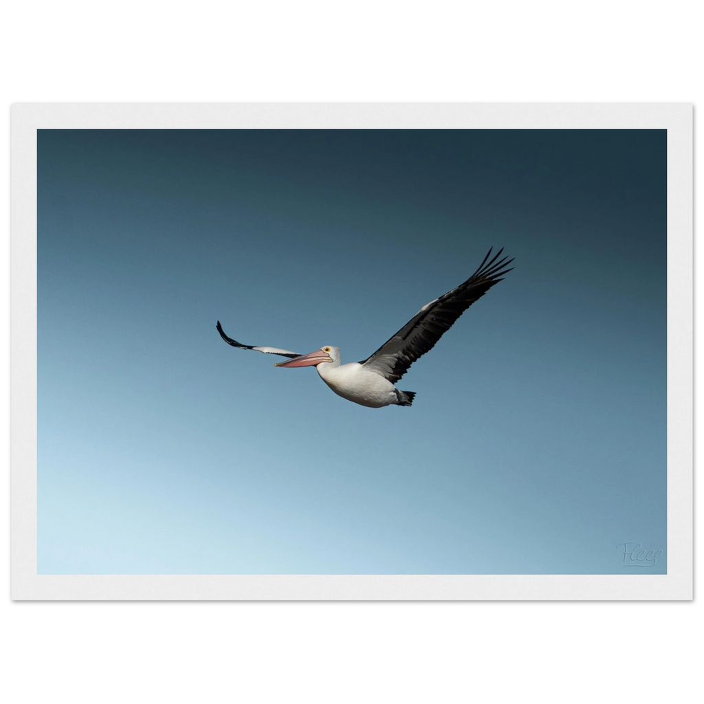 3b67a852-e722-4a9e-a0de-a4aa51add944