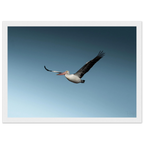 3b67a852-e722-4a9e-a0de-a4aa51add944