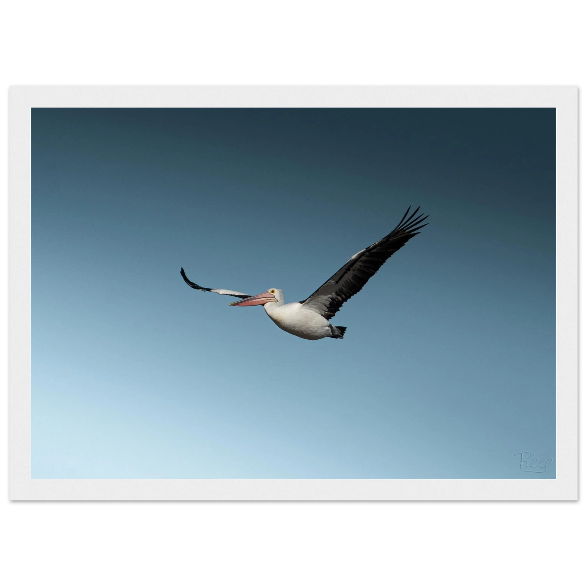 3b67a852-e722-4a9e-a0de-a4aa51add944