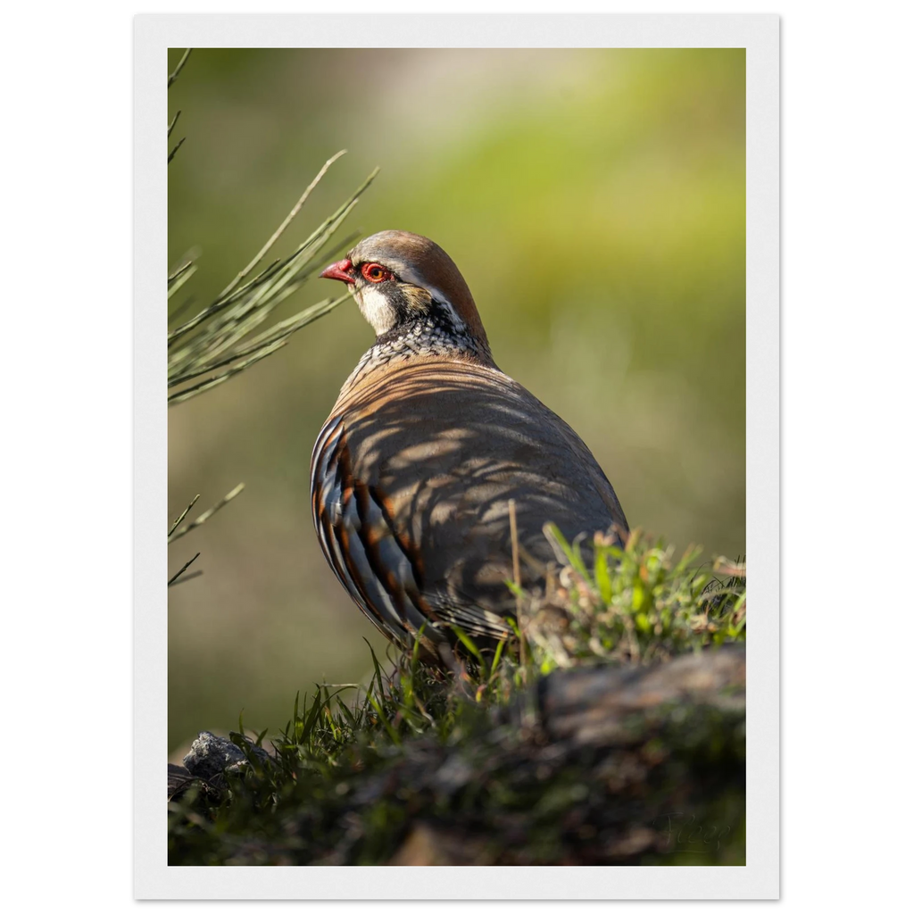 3b769ea7-7a30-4e3e-b048-453376b5ad17