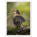 3b769ea7-7a30-4e3e-b048-453376b5ad17