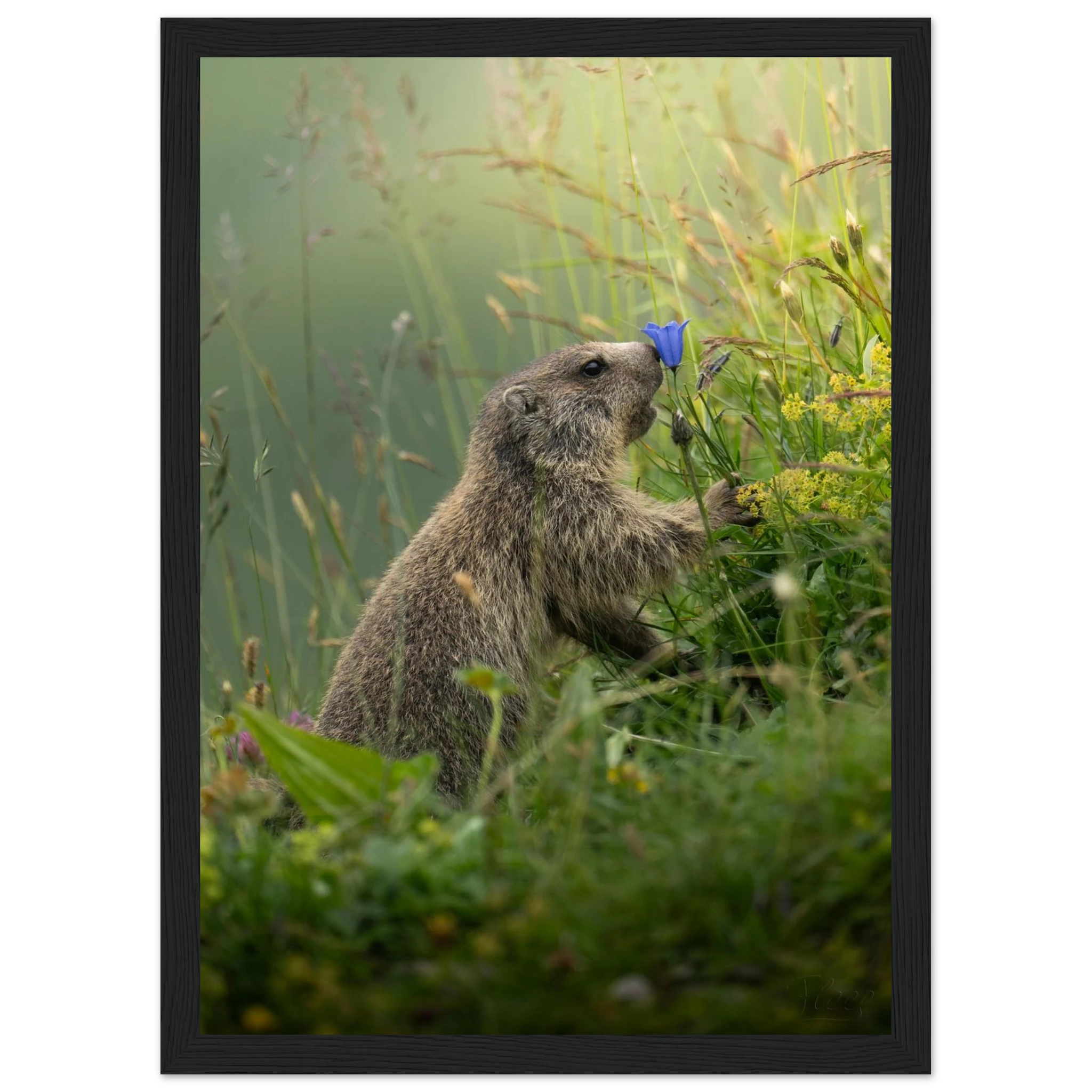 3bc471d2-f957-41ec-8e56-a9f71719784e