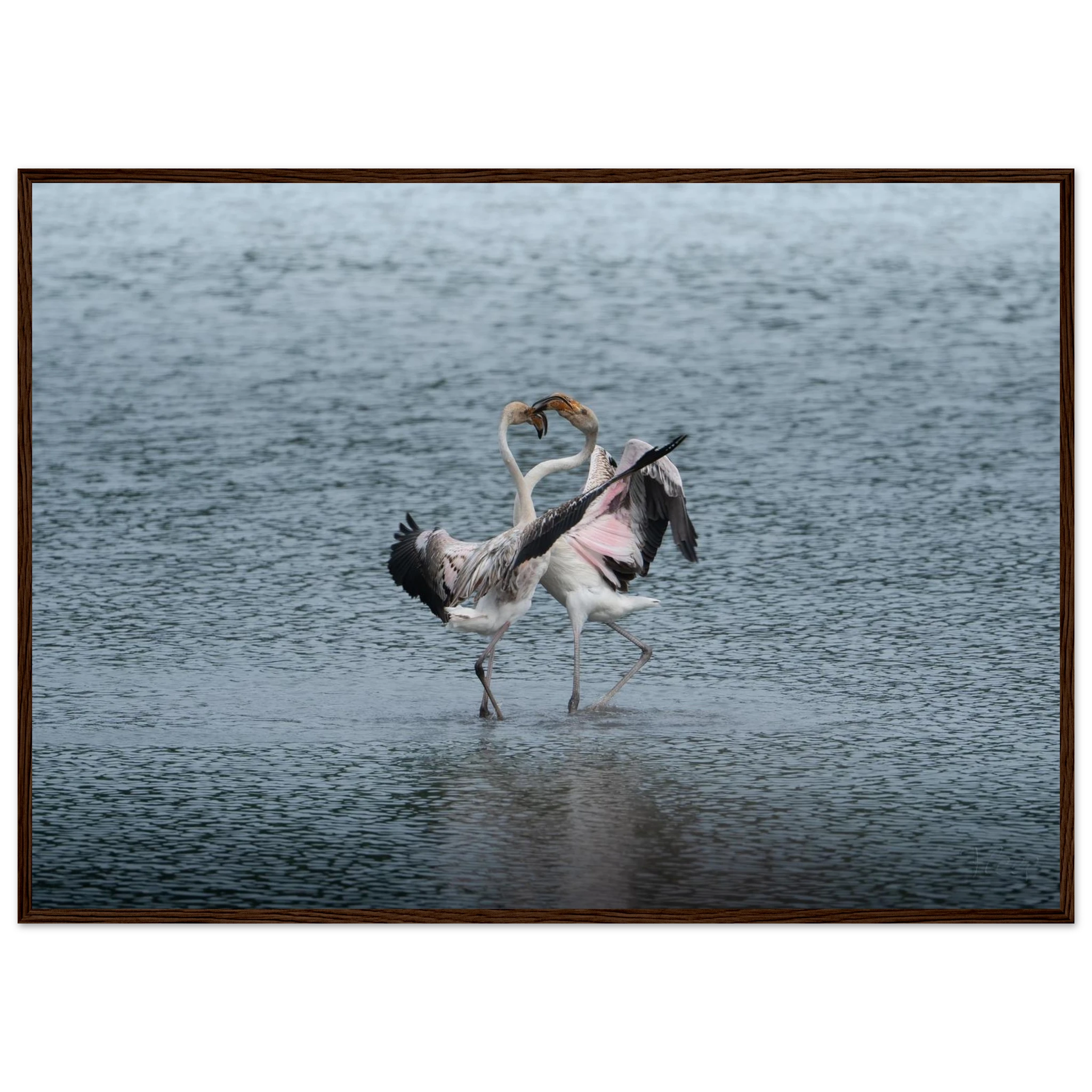 3be57a37-afce-4182-ac0e-5041c3735561