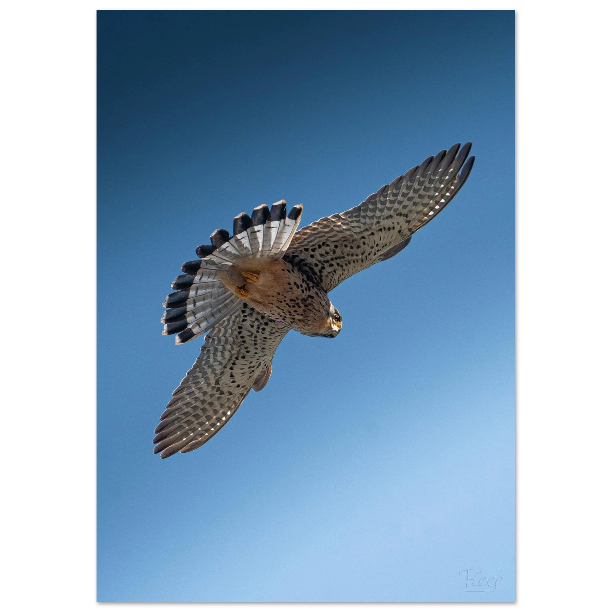 3c22195c-17b9-4ee7-b66c-1d7f66d17397