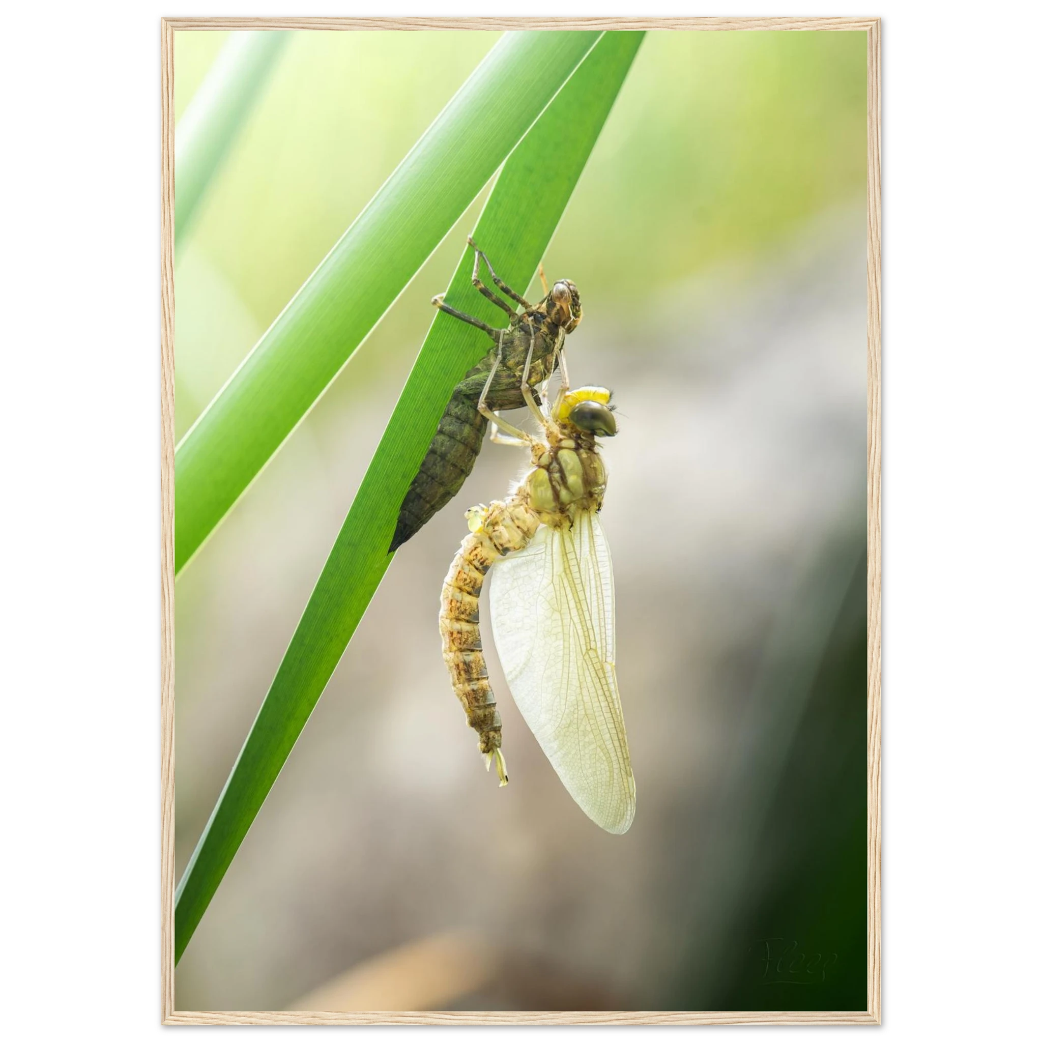 3c83b600-8533-43b0-b467-0ee7ca31e718