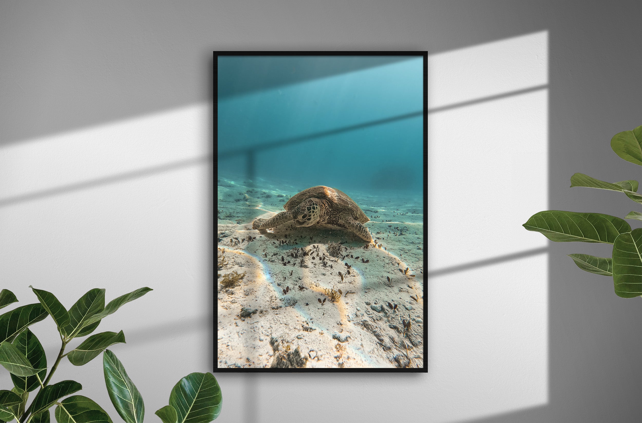 3ca5e53c-910d-46b5-94c0-b1f86f000732