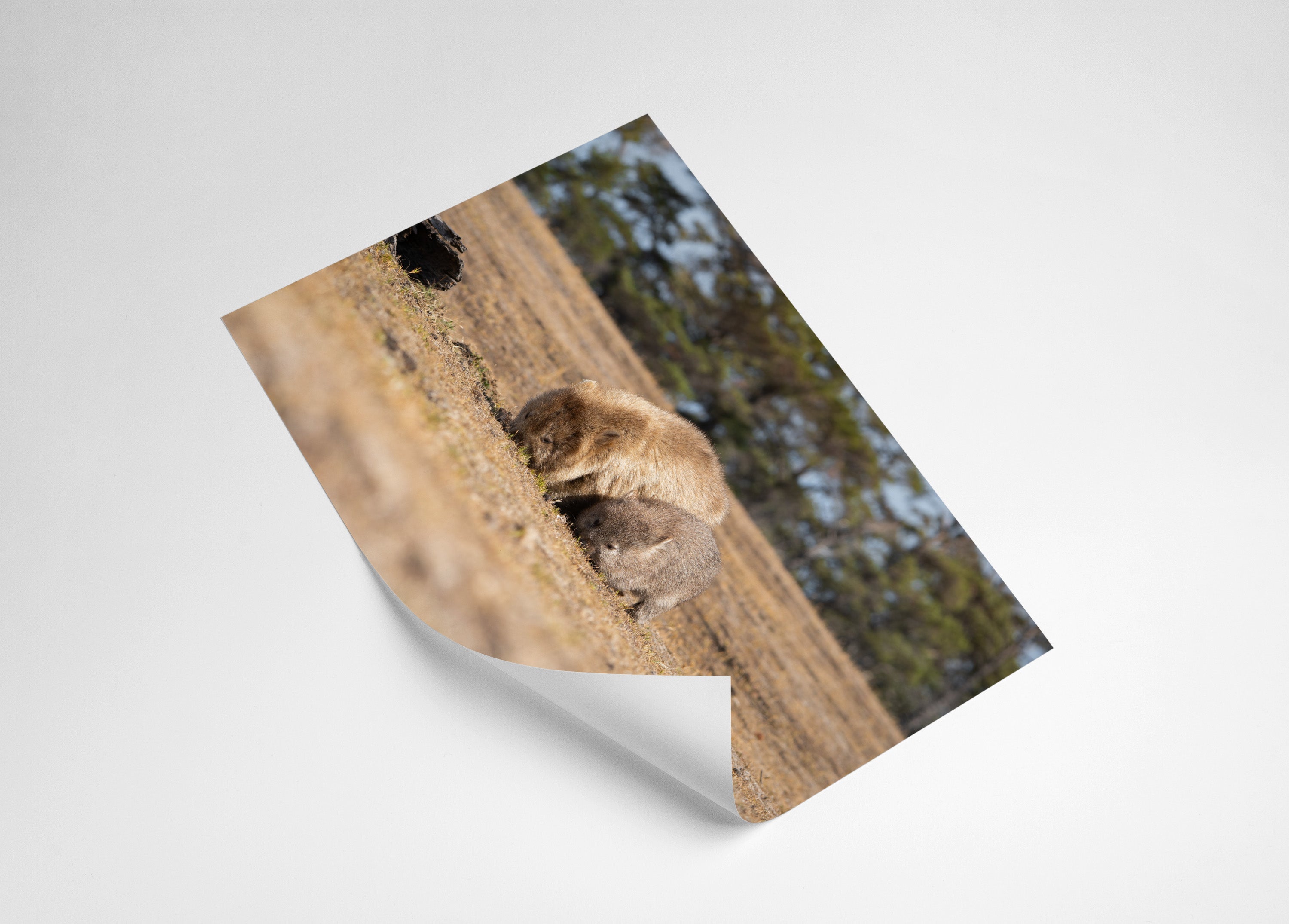 3d64da71-785a-44e2-8d36-3527de4c10ae