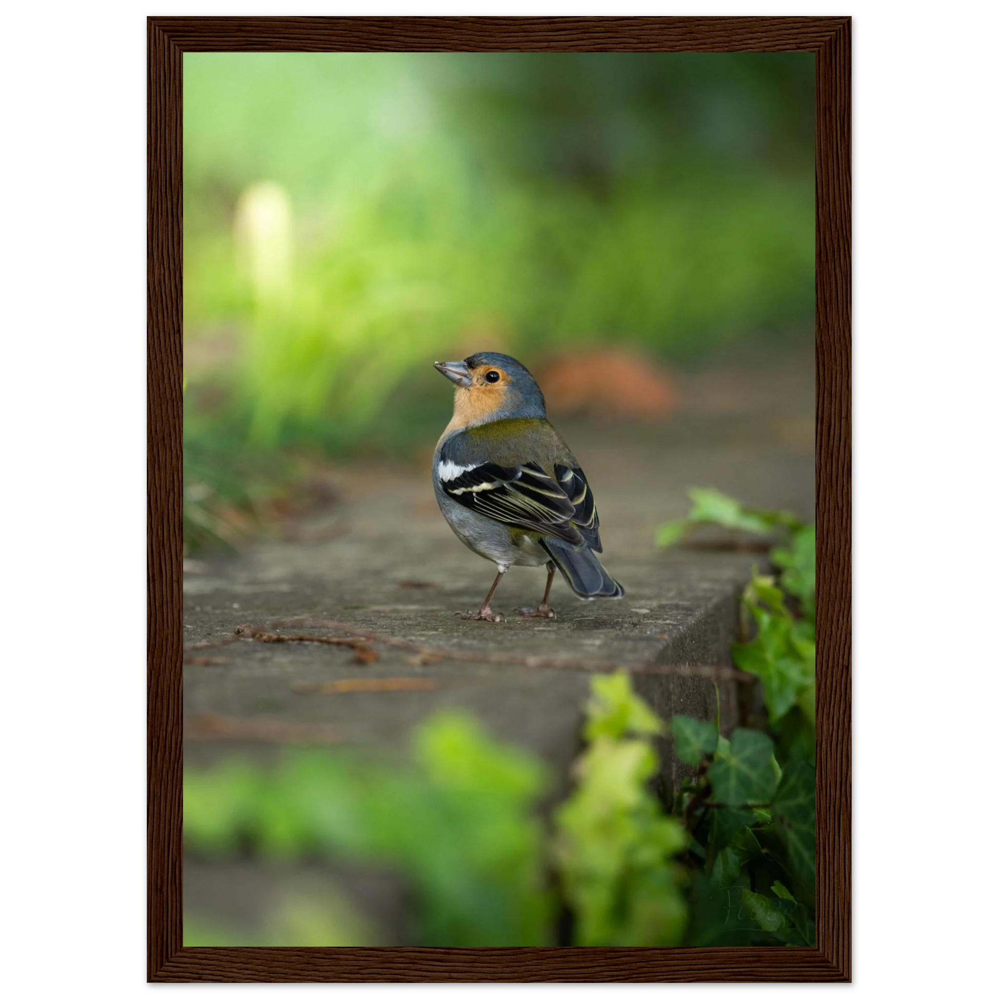 3dda615c-b759-40ea-8c01-c4ee7489502a