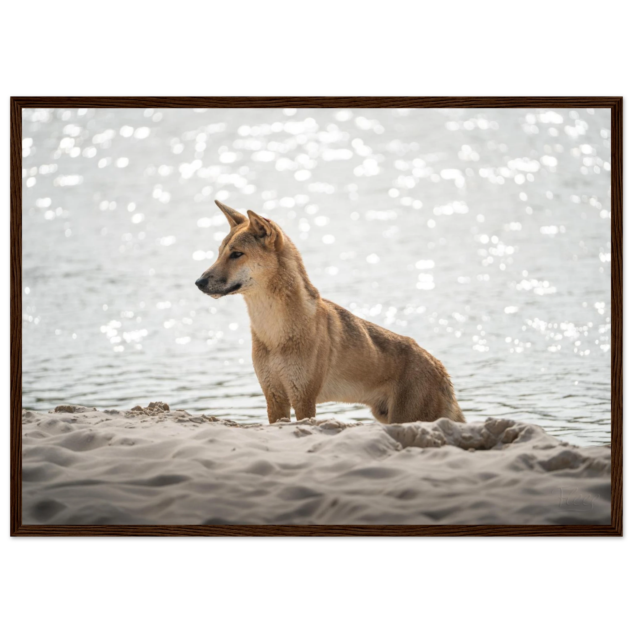 3dff8b05-7e9d-417c-8e96-fa7632b2c004