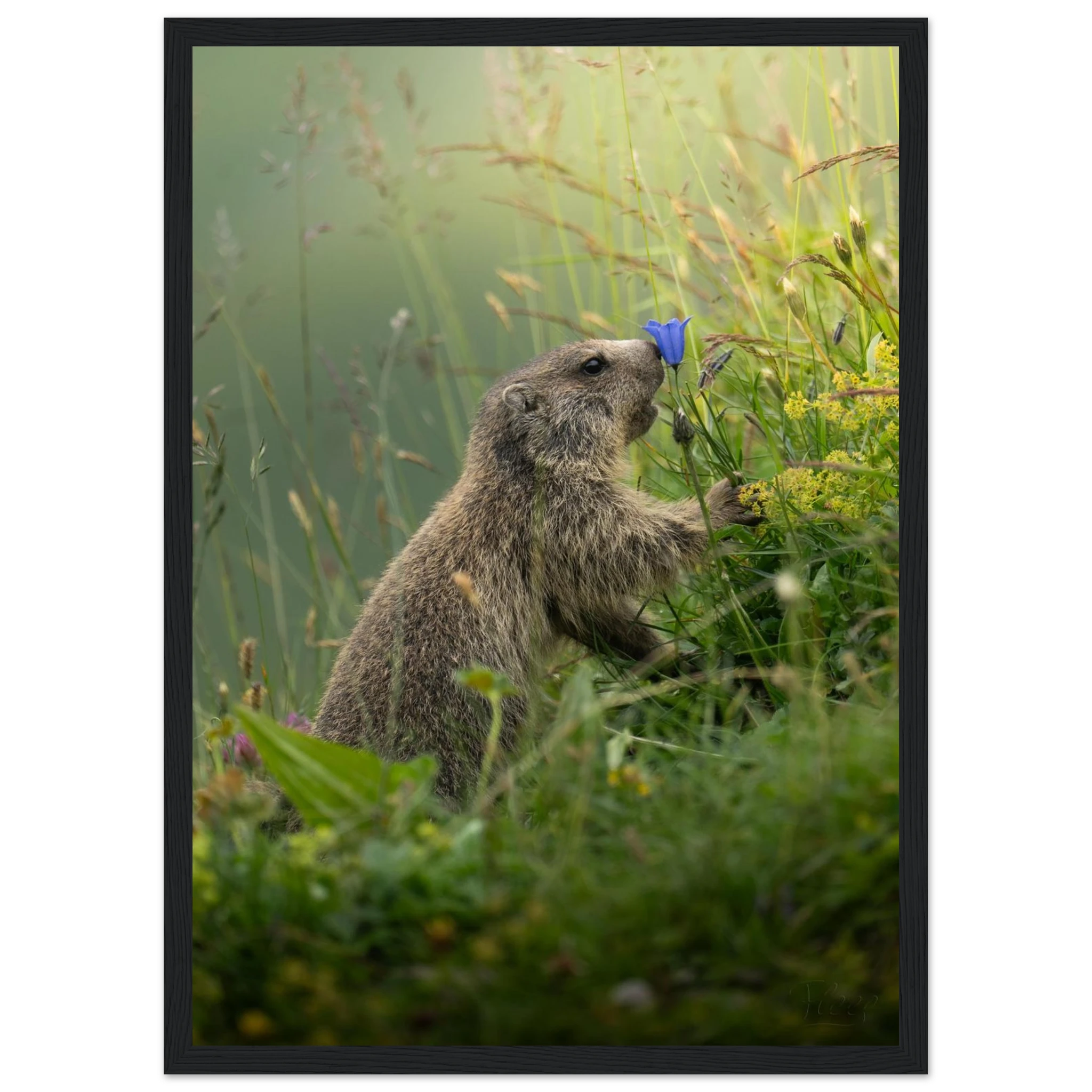 3e417b15-35c5-4825-b5df-9b2a910f6058