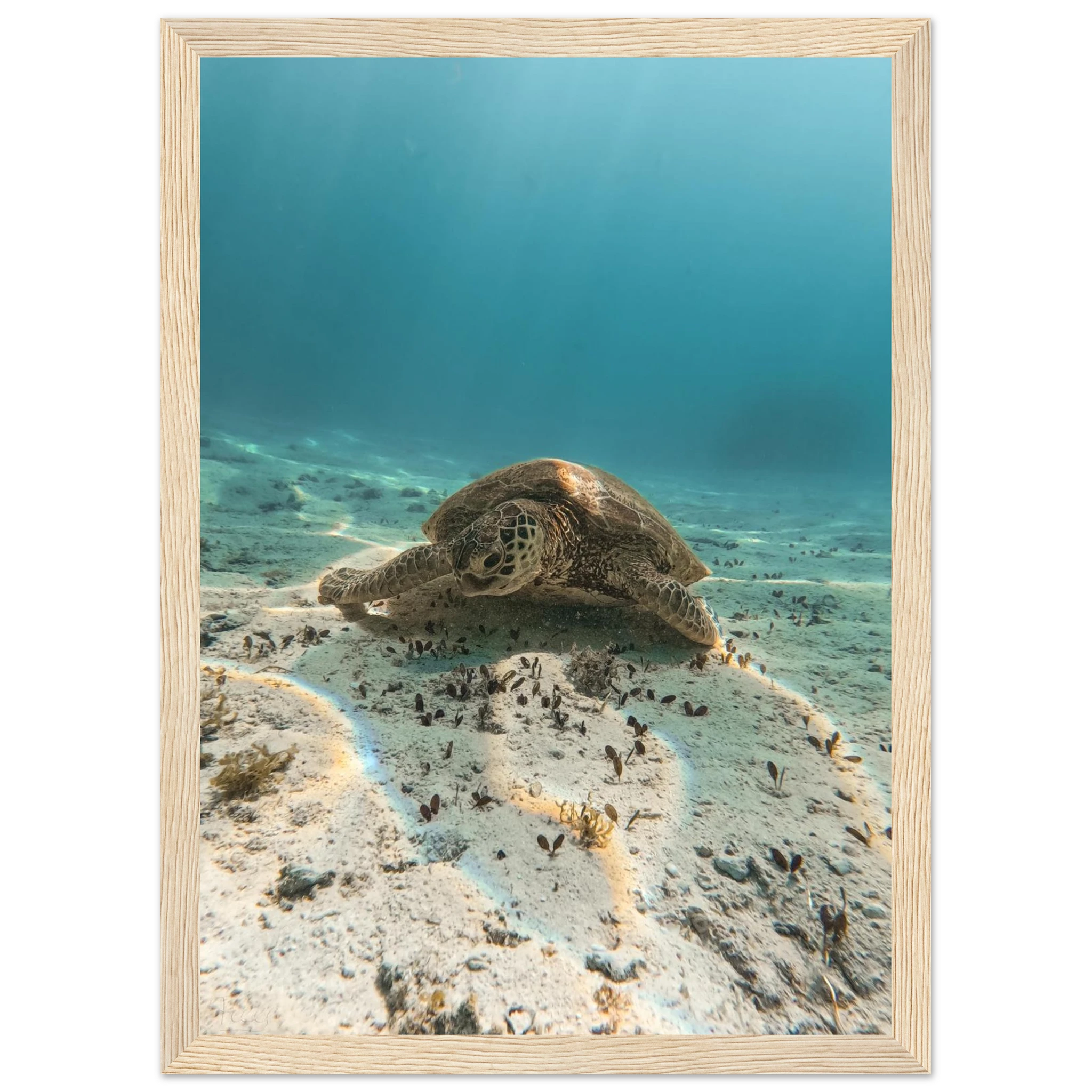 3e607e5c-a612-4772-9b4d-3df178c21972