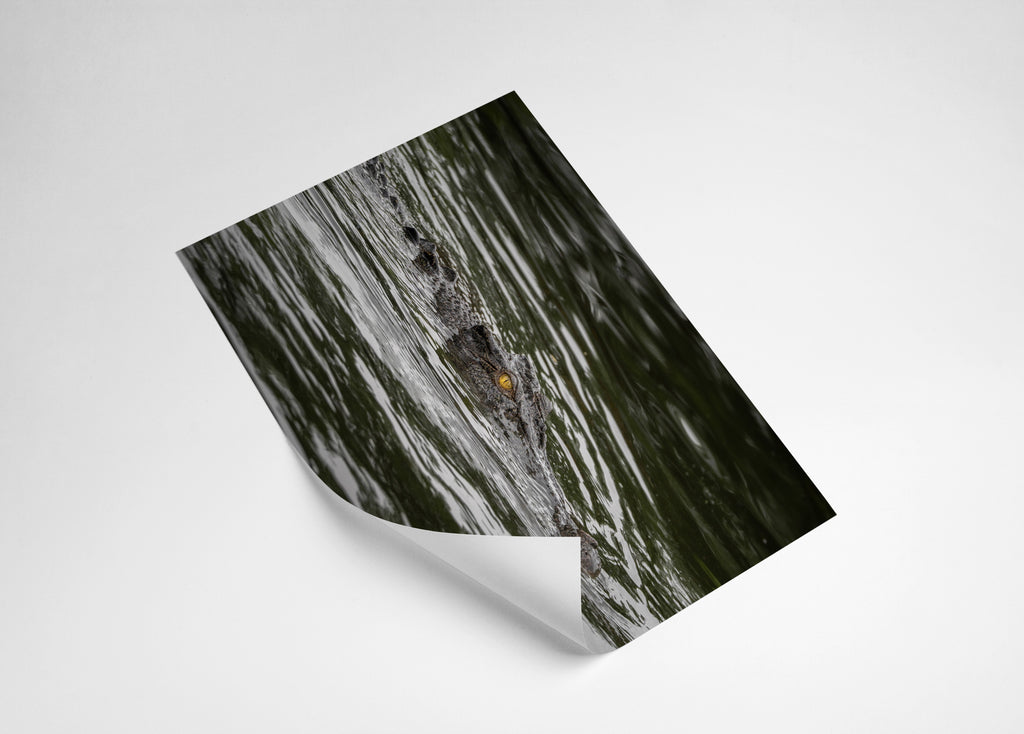 3ea19f86-8499-4195-91f9-8d5a66ba6807