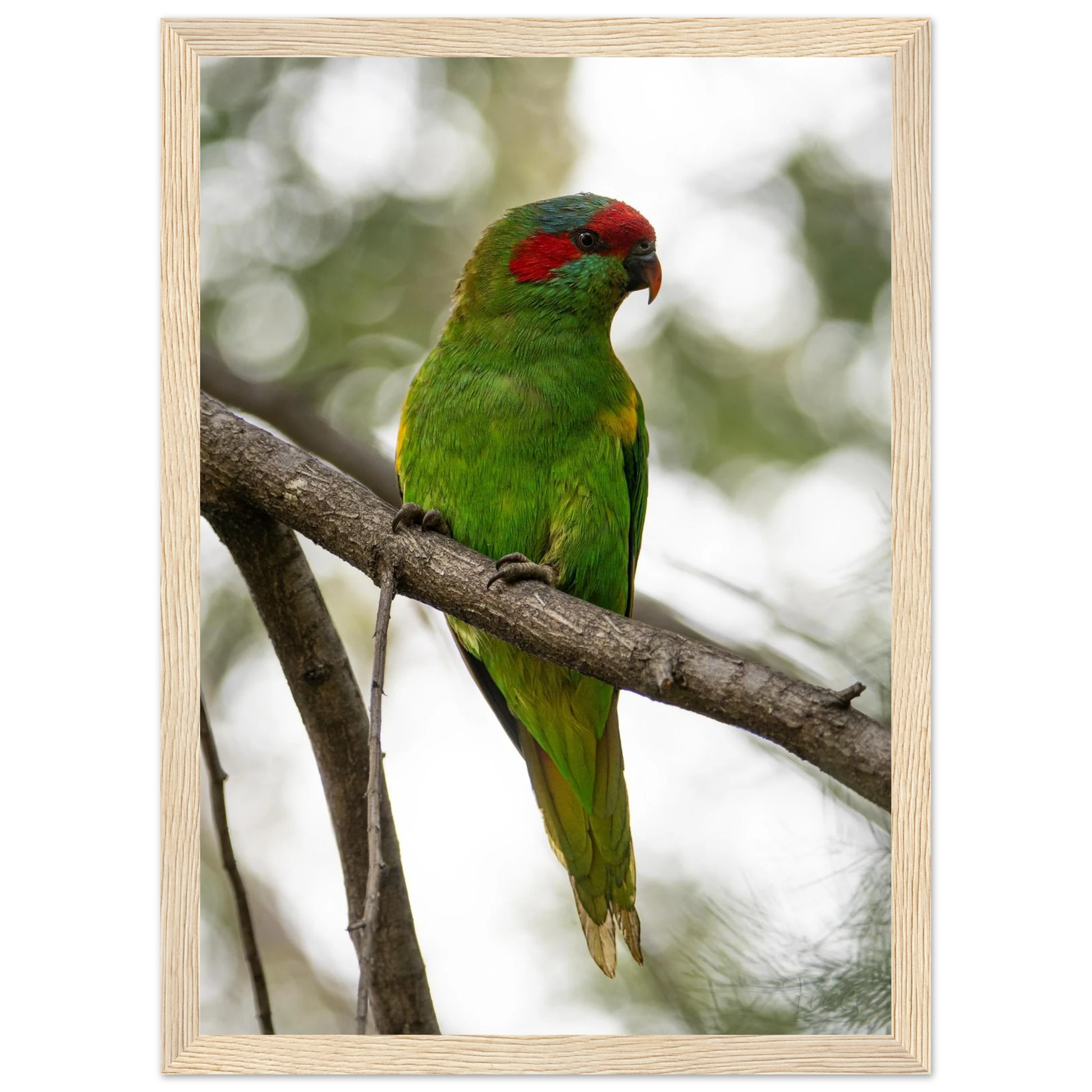 3edb22f7-4bdb-49ec-acde-77308ced4b4b