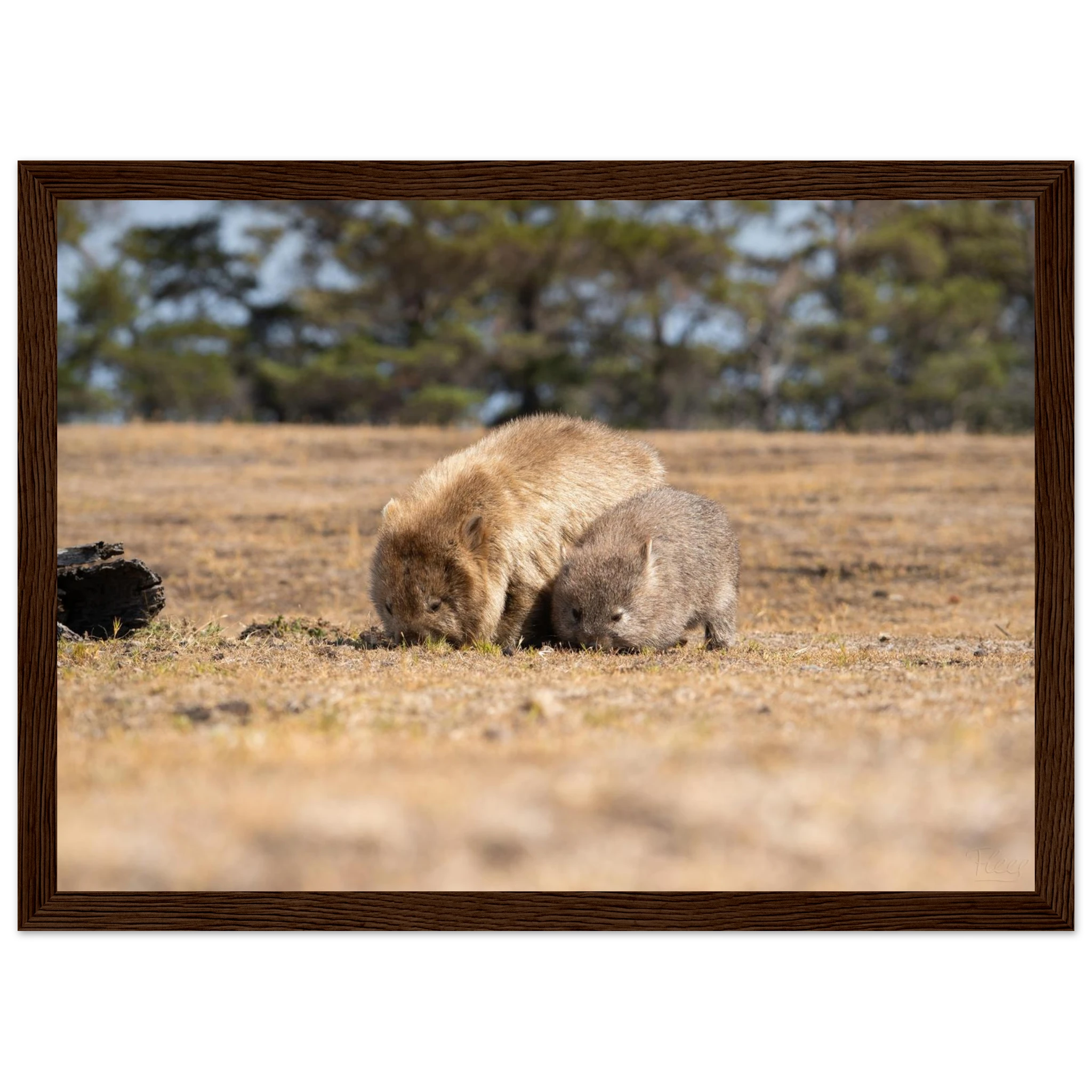 3f1b2fb7-d08e-4fea-a197-3fde811891cd