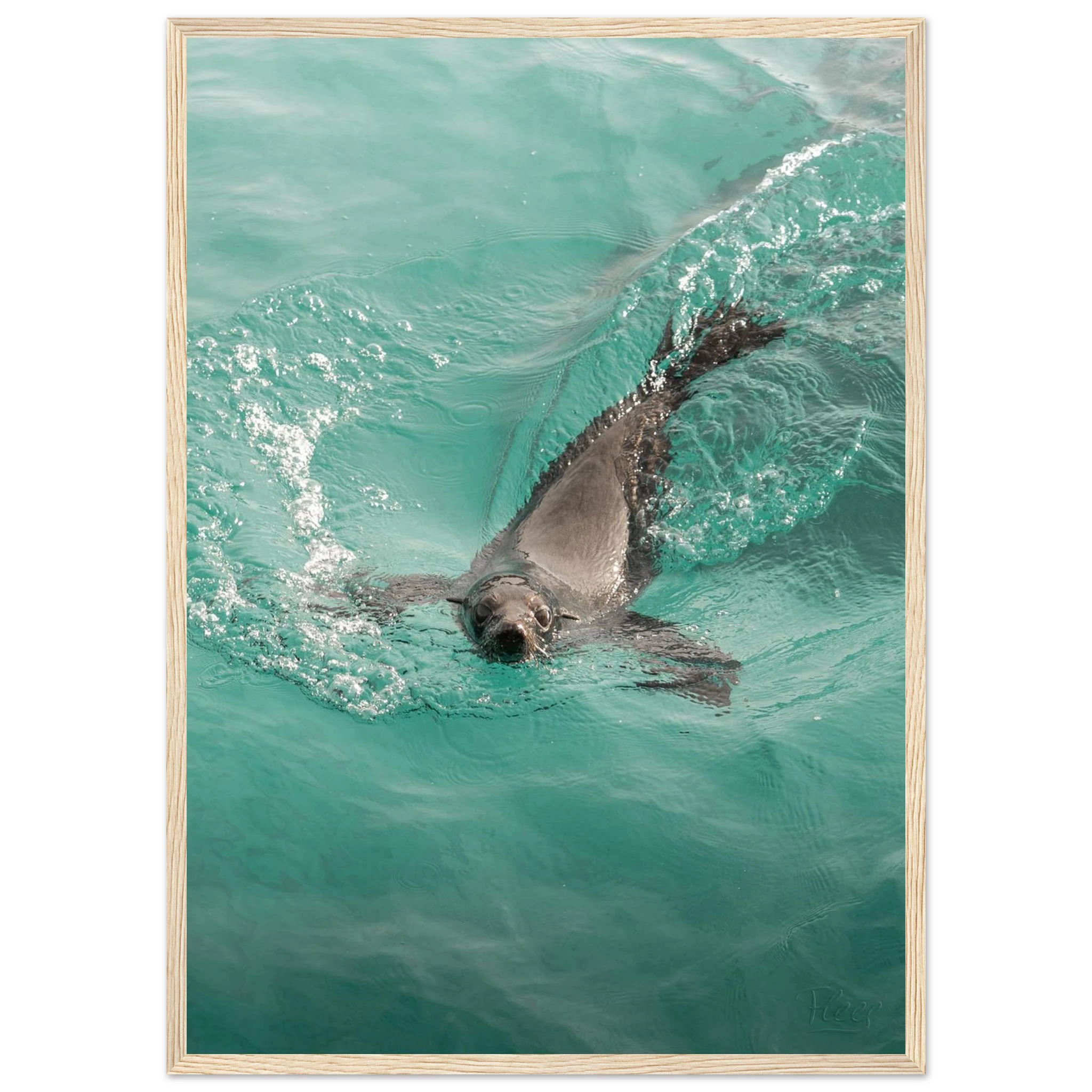 3fccb551-7aa5-481b-af8b-8938ef42bfad