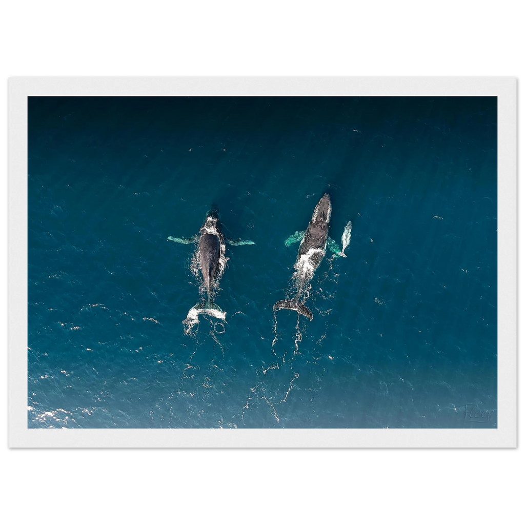 3fe31461-2a99-448b-9b0a-43c110b4bf95