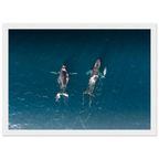 3fe31461-2a99-448b-9b0a-43c110b4bf95