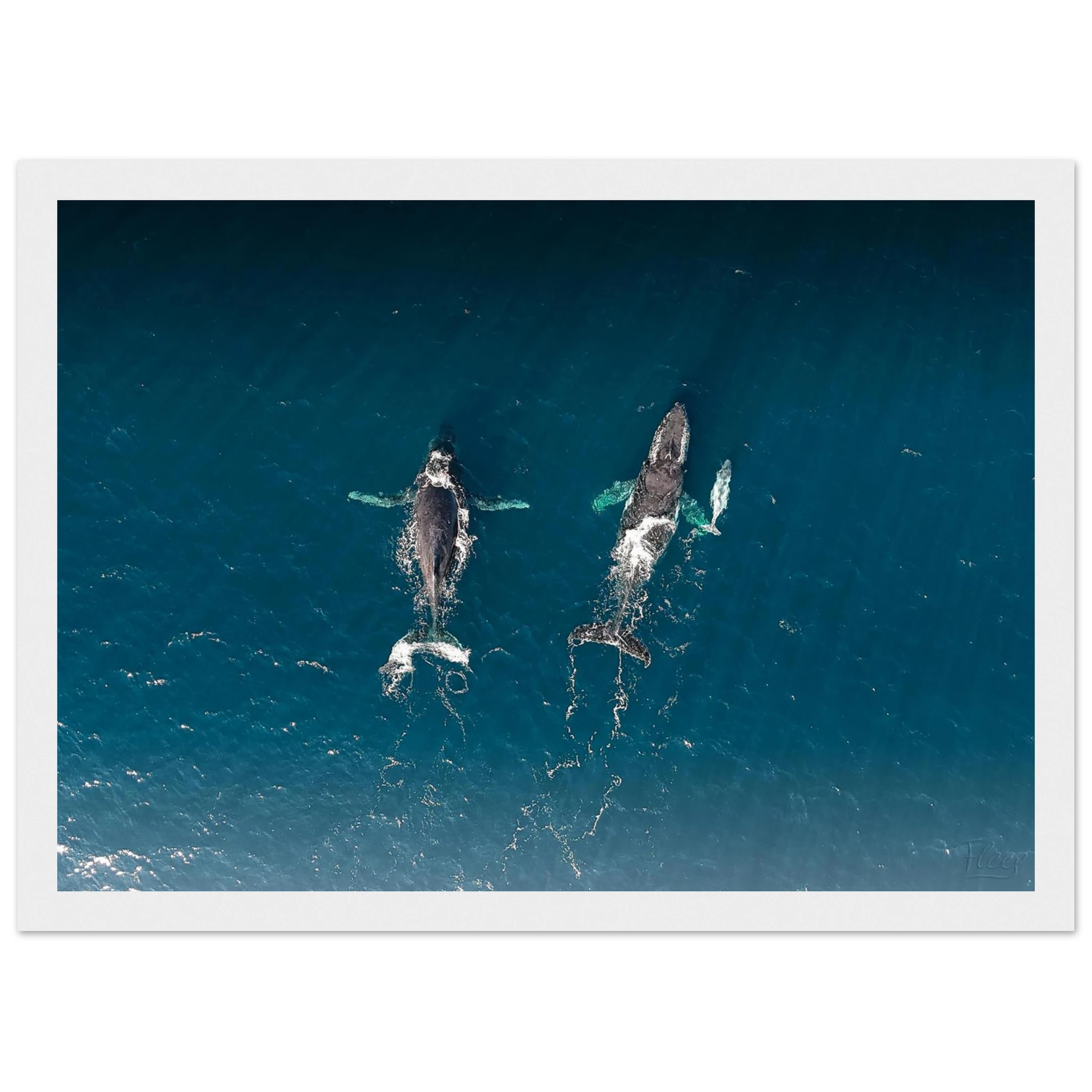 3fe31461-2a99-448b-9b0a-43c110b4bf95