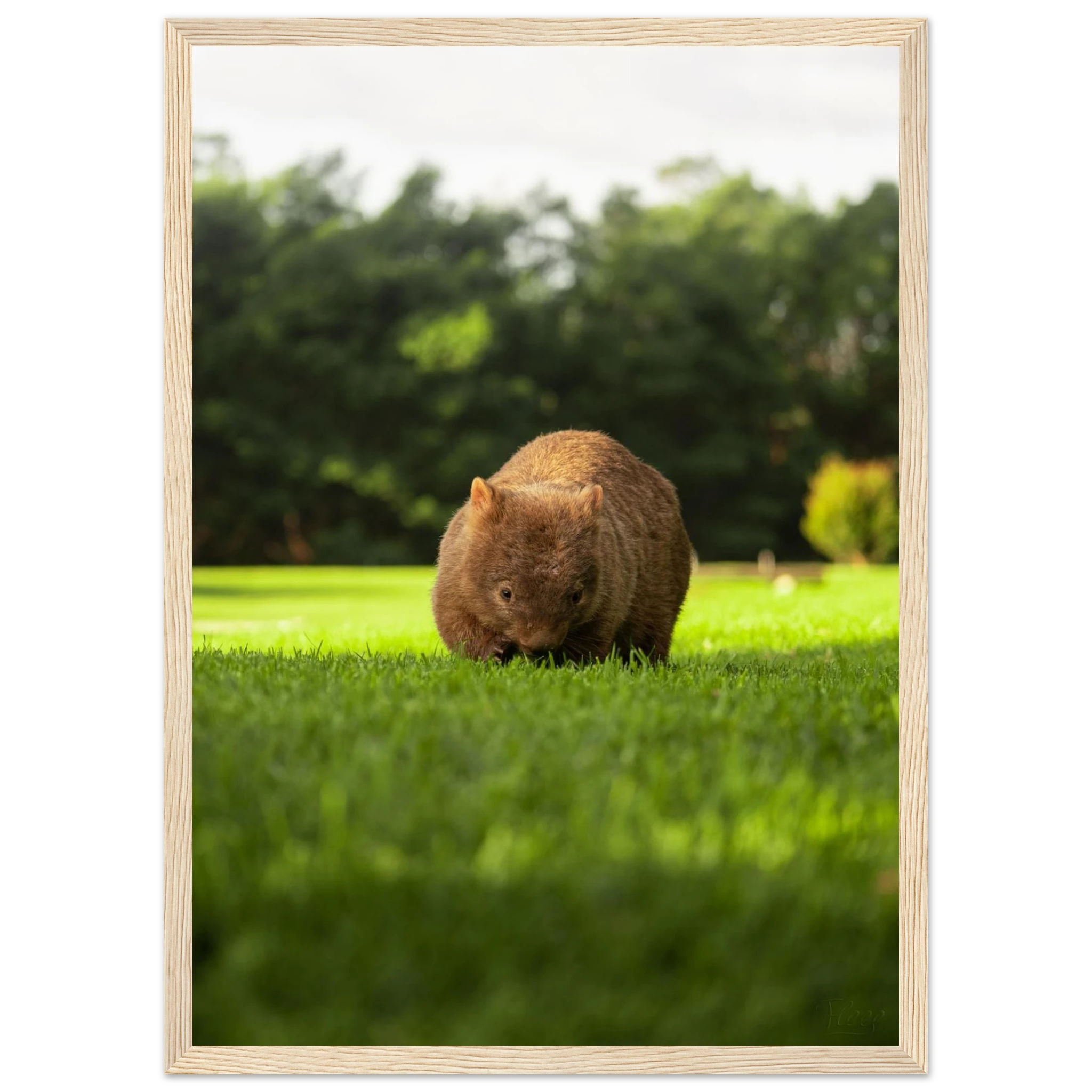 404c898d-0659-471d-9b16-2c62f9986383