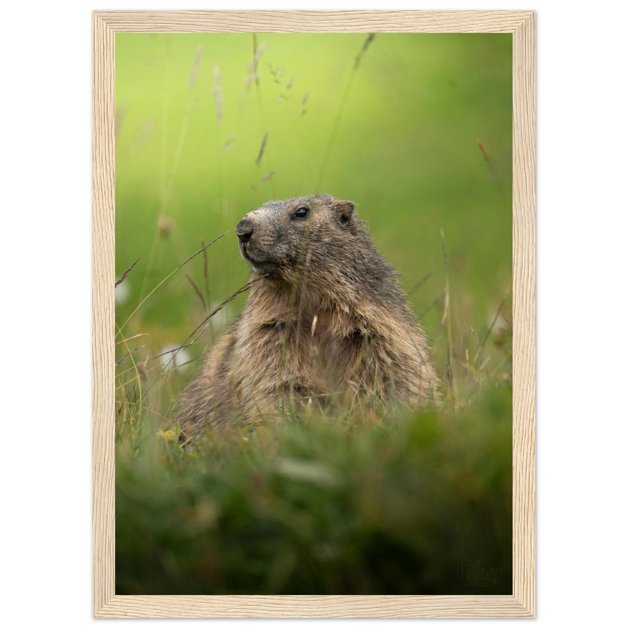 404fd491-9fcf-4c92-ab04-d22a58030b6f