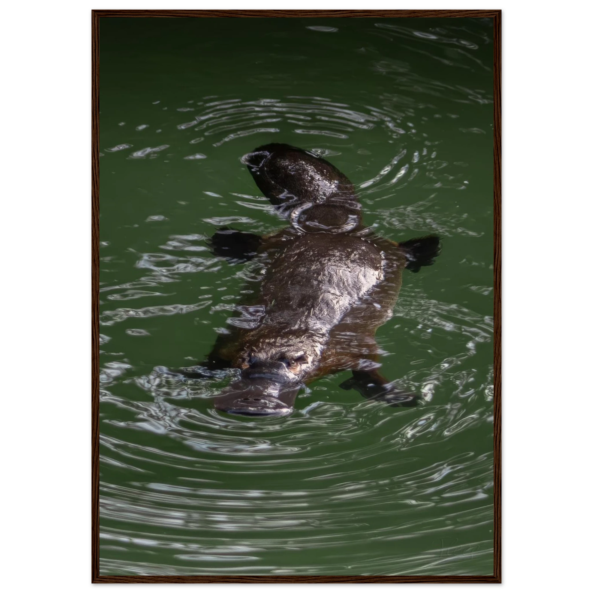 411ad36d-015b-4567-ac1d-96b5a5202838