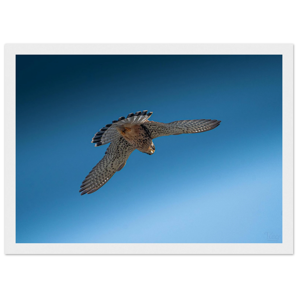 41b5735f-f06e-4e25-9666-ab4d4100e47f