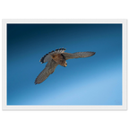 41b5735f-f06e-4e25-9666-ab4d4100e47f