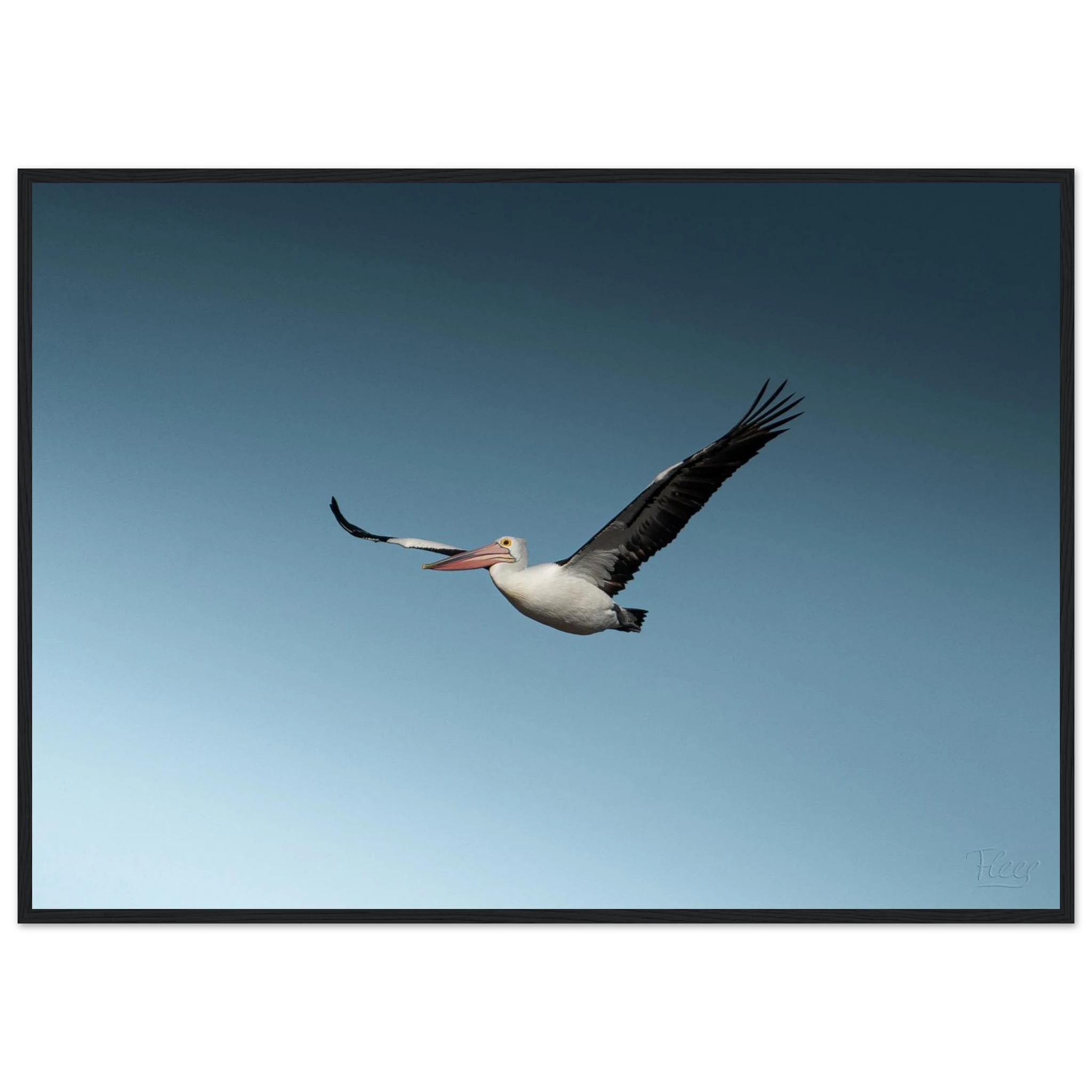 4232fa68-8e83-414a-ad27-aa1c37a5b051