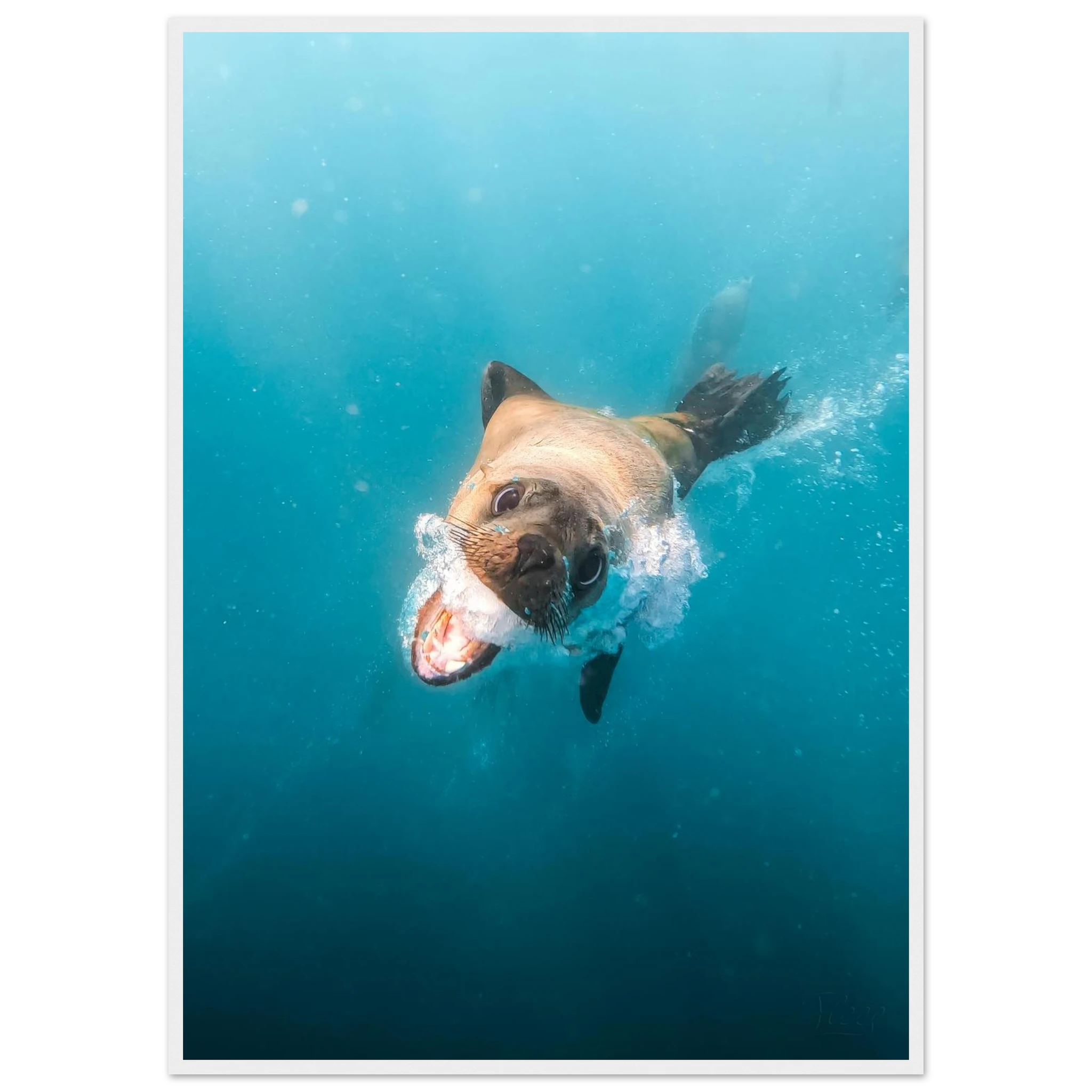 4259f9a2-eb46-4d88-b919-efb0623f213a