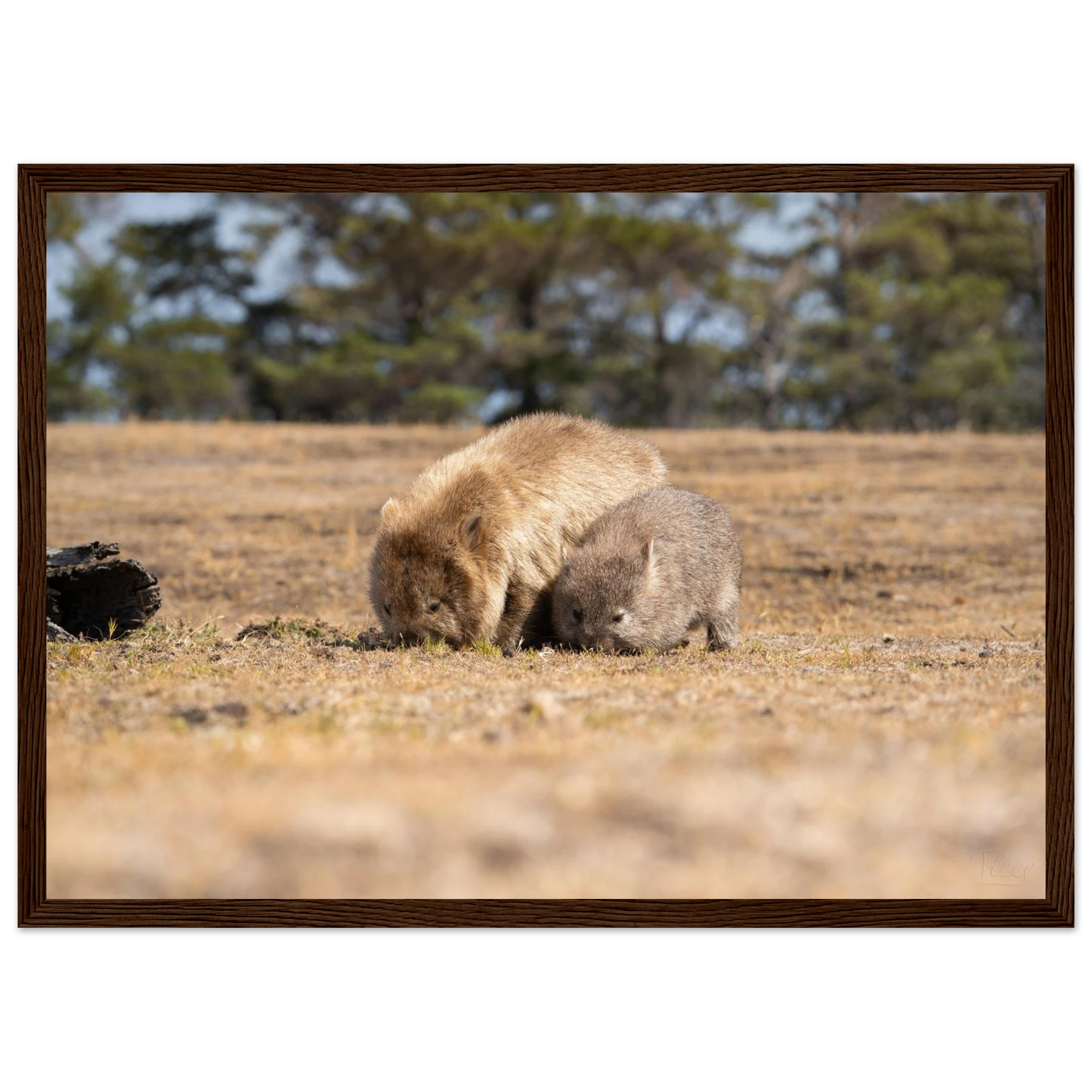 4288324f-ebab-435d-9f77-baebe286031f