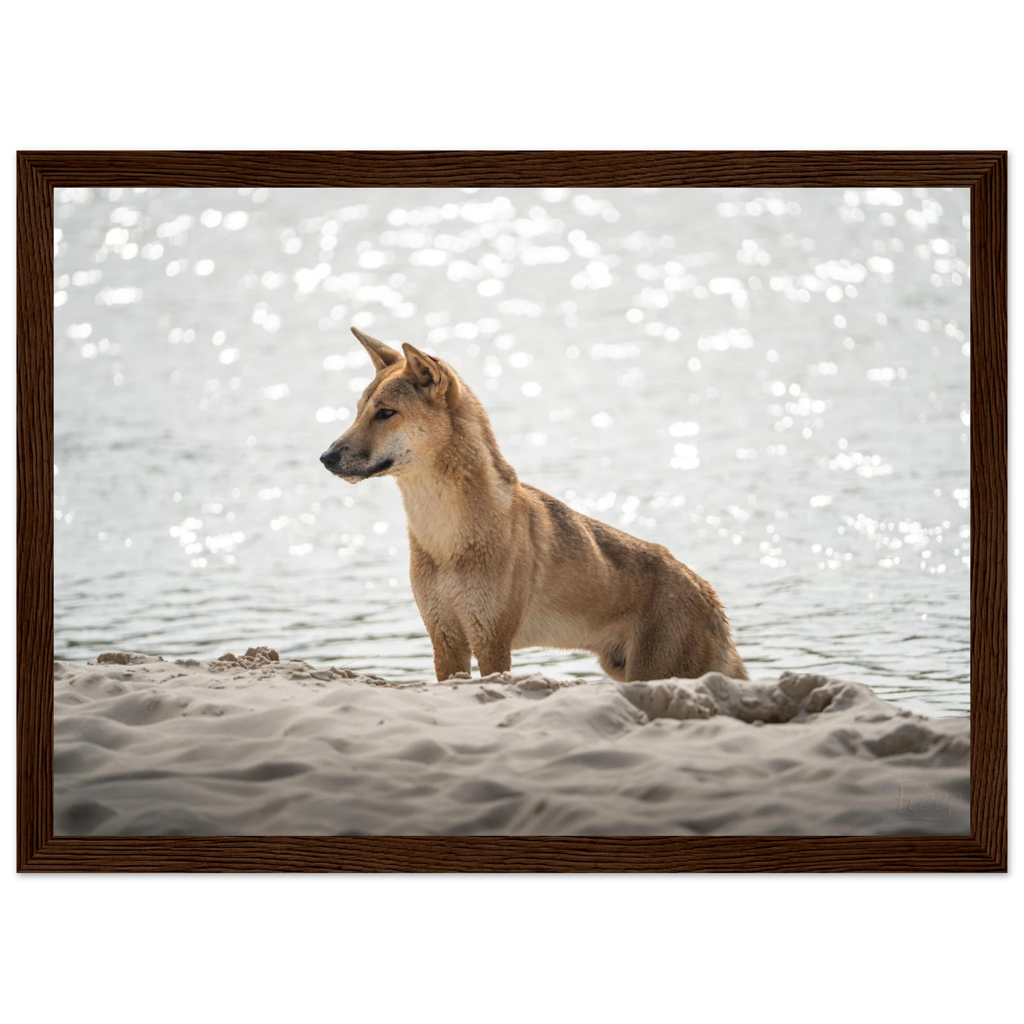 4341faf4-ba90-4be4-bcb6-71a3cded9e2b