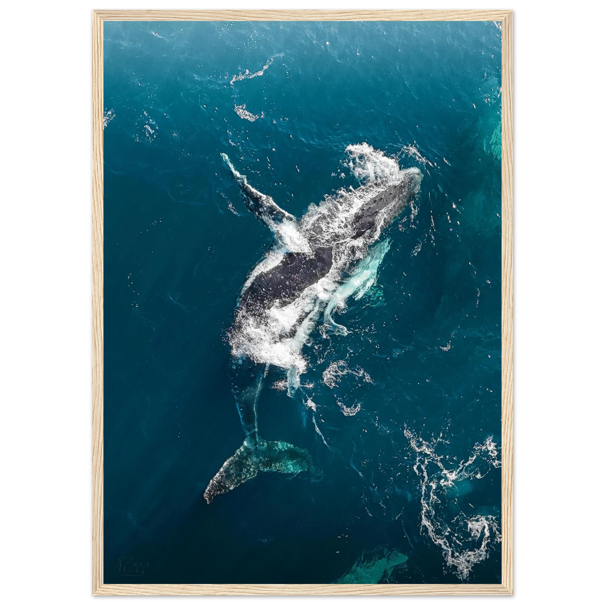 43f021e3-502d-42f4-85b1-370f507770a6