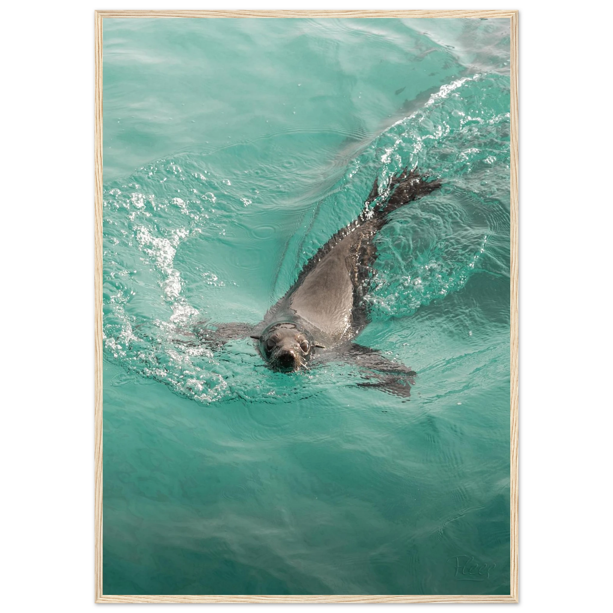 44177b44-d138-4819-b7ac-9c55ed5ecd18