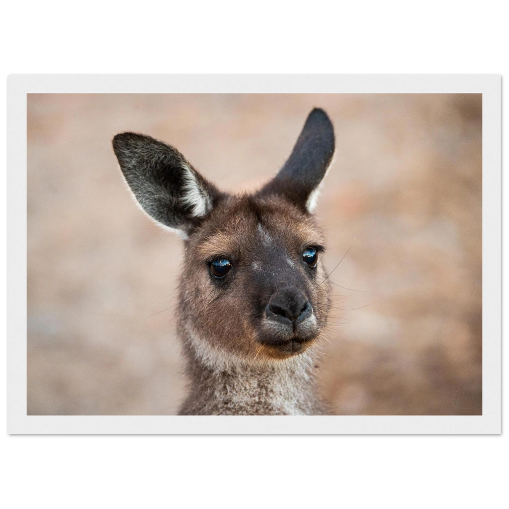 44d8ad4c-da30-4d7e-81f3-0a909d4114c7