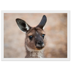 44d8ad4c-da30-4d7e-81f3-0a909d4114c7