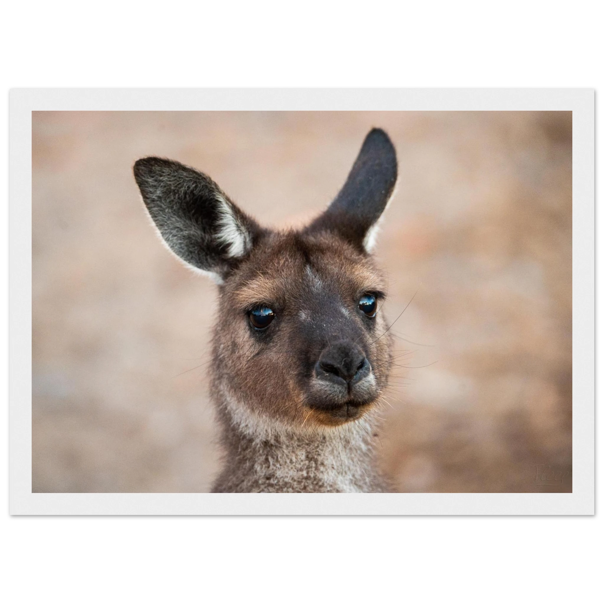 44d8ad4c-da30-4d7e-81f3-0a909d4114c7