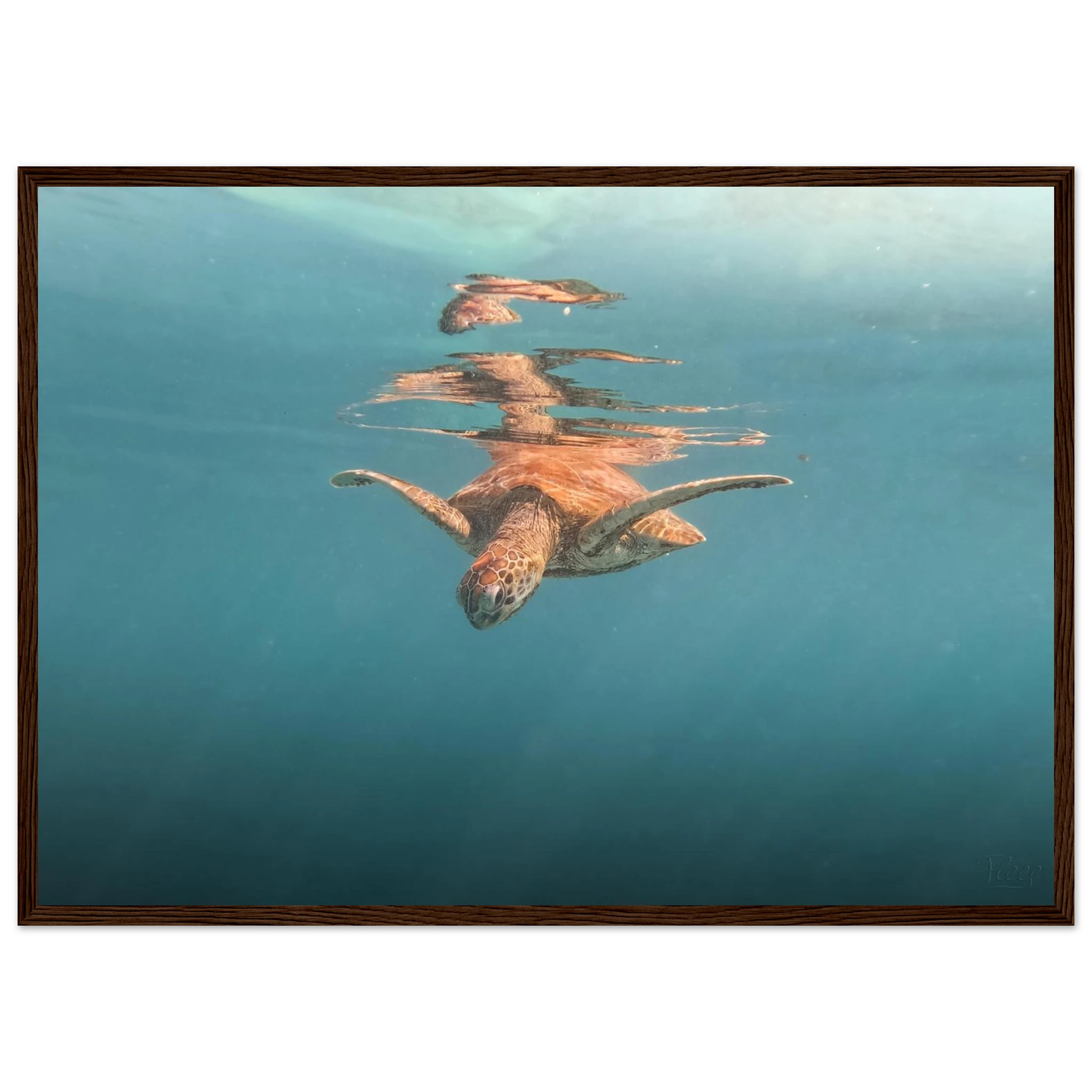 45220915-a189-4eb5-ace9-1455e31b638a