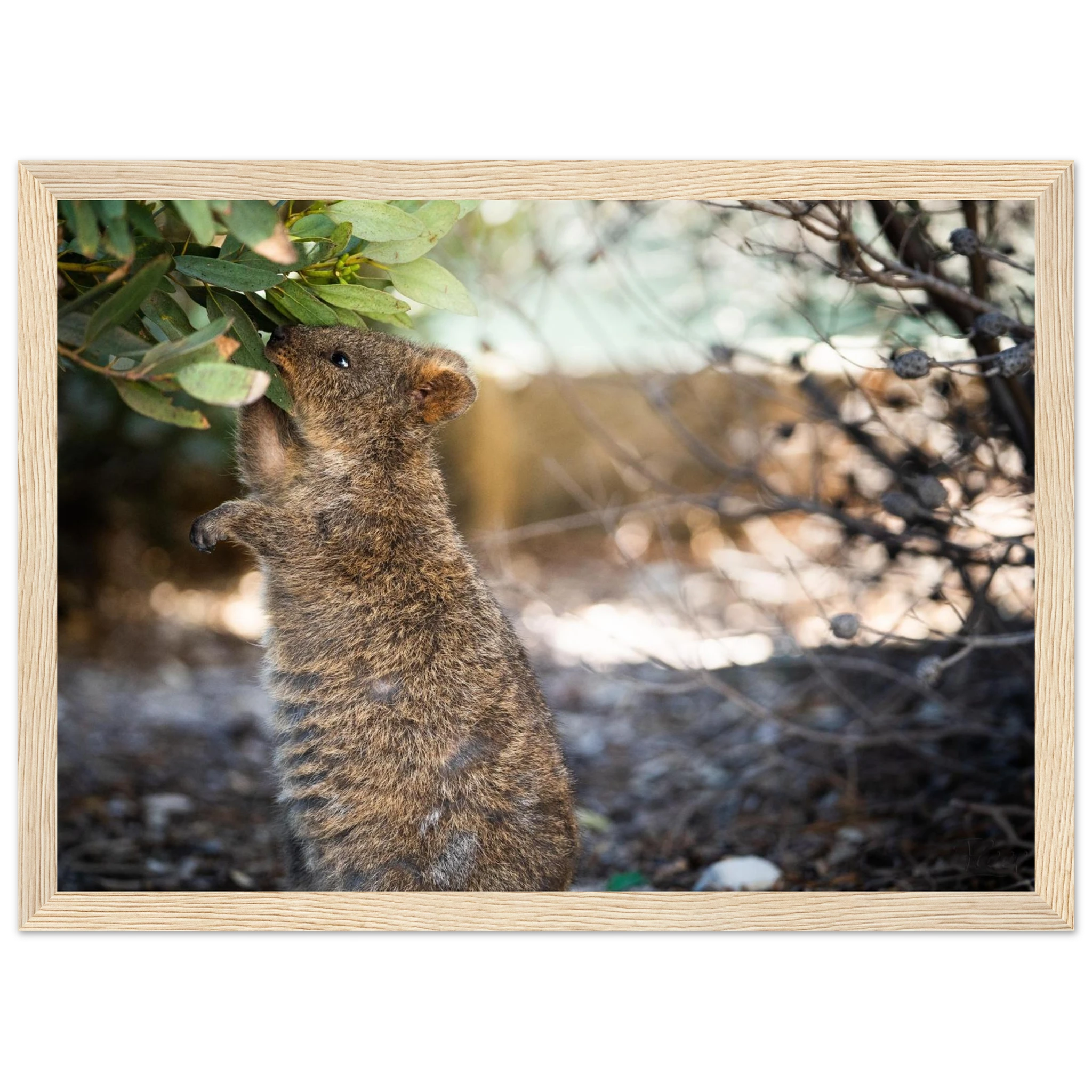 45304ac2-c7a4-4f11-a56d-ebea60bcf347