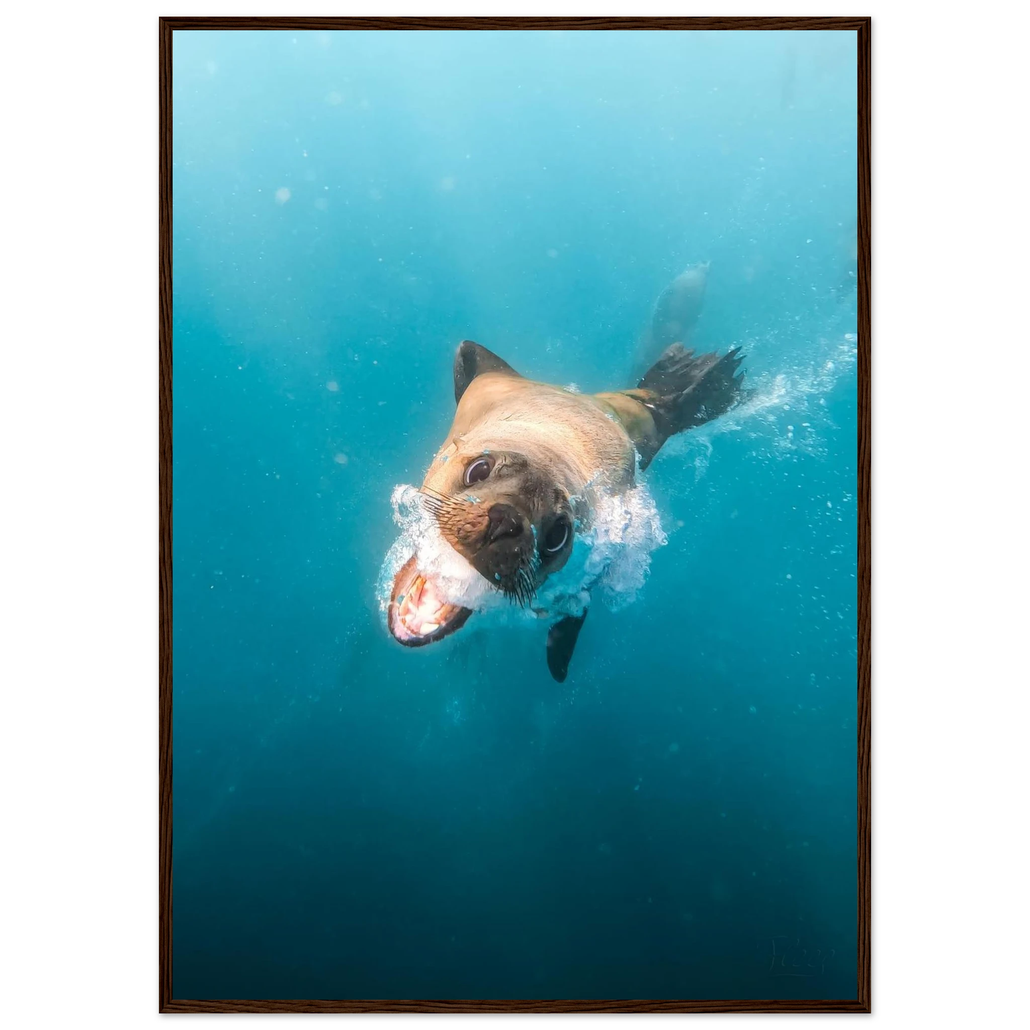 45570fef-32f7-4cfd-84c4-2c924d613d40