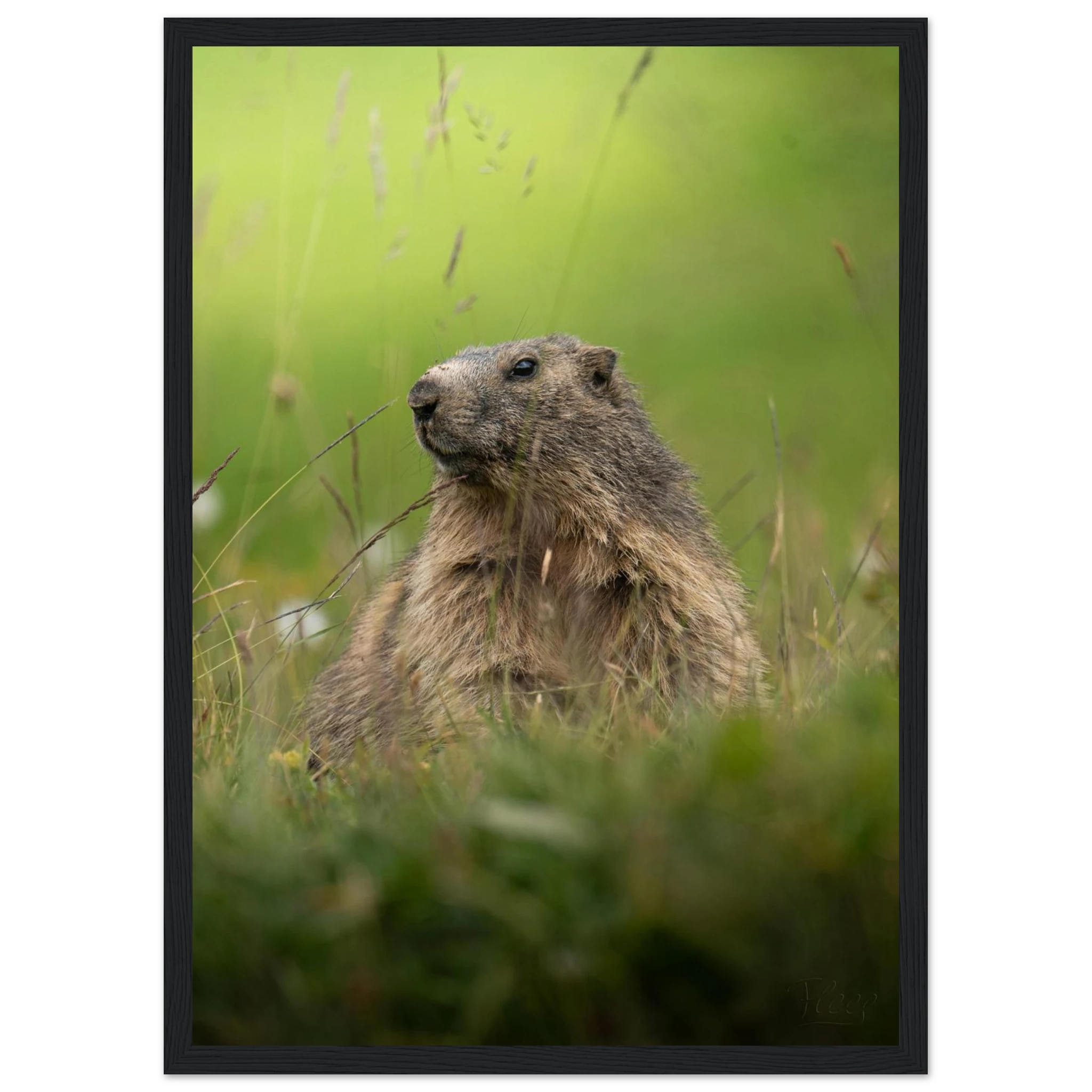 459e44d5-9106-4133-aaab-b1f277f270a0